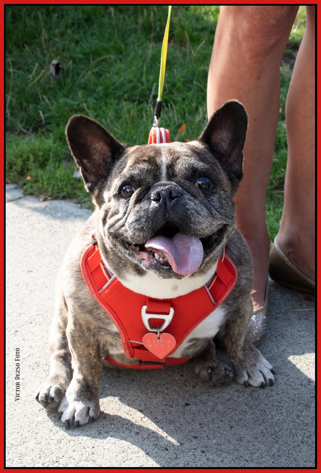 Lucy_Sep 28_2023_CR2_4H8637_4x6s.jpg