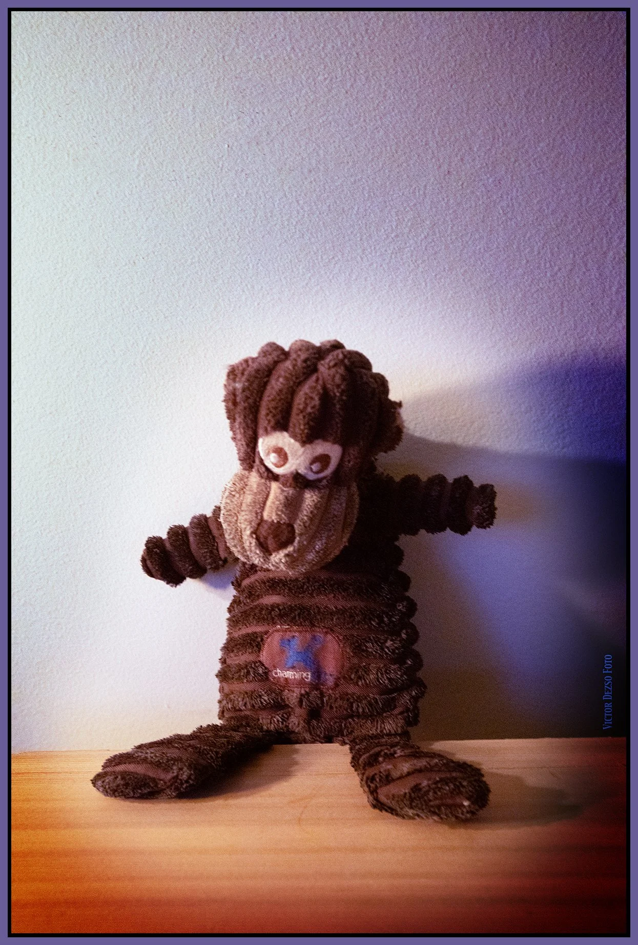 Monkey_Feb 6_2025_CR2_5E9331_peSpeHudson_4x6s.jpg