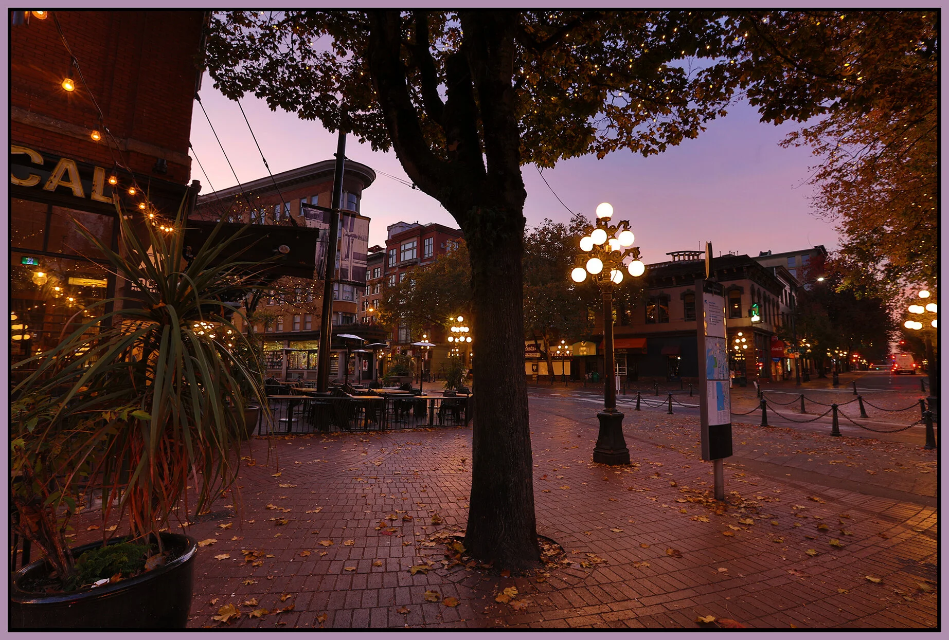 Gastown Maple Tree Sq_Oct 19_2018_HDR_D9628_4x6s.jpg