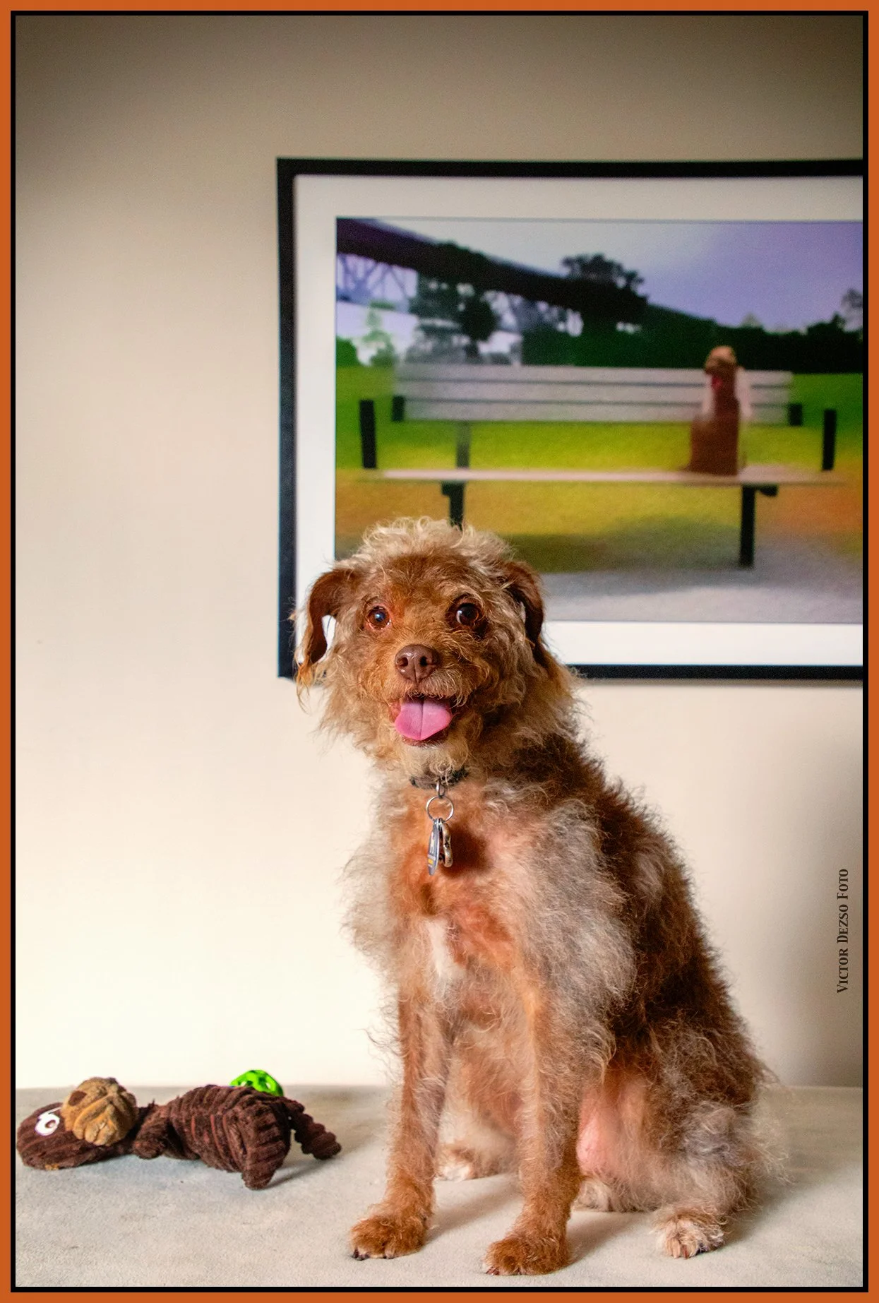 Frances_Mar 28_2024_CR2_4H5926_peHyperstrip_Pop_4x6s.jpg