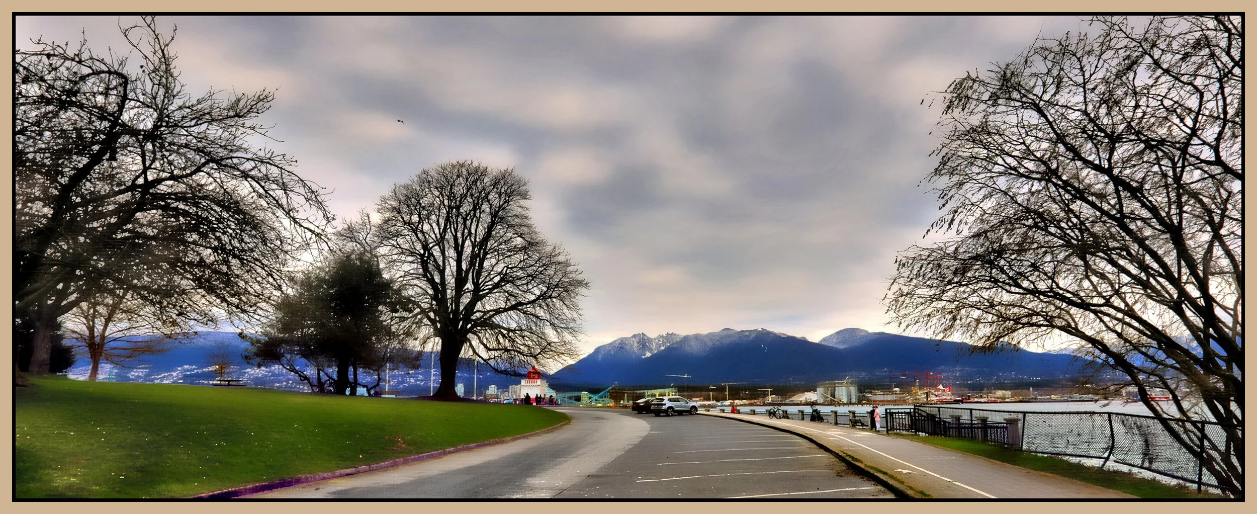 Stanley Park Lighthouse Tree_Feb 20_2026_HDR_4K8991_Pan_peVeniceHdr2013_Hyperstrip_1_4x10s.jpg