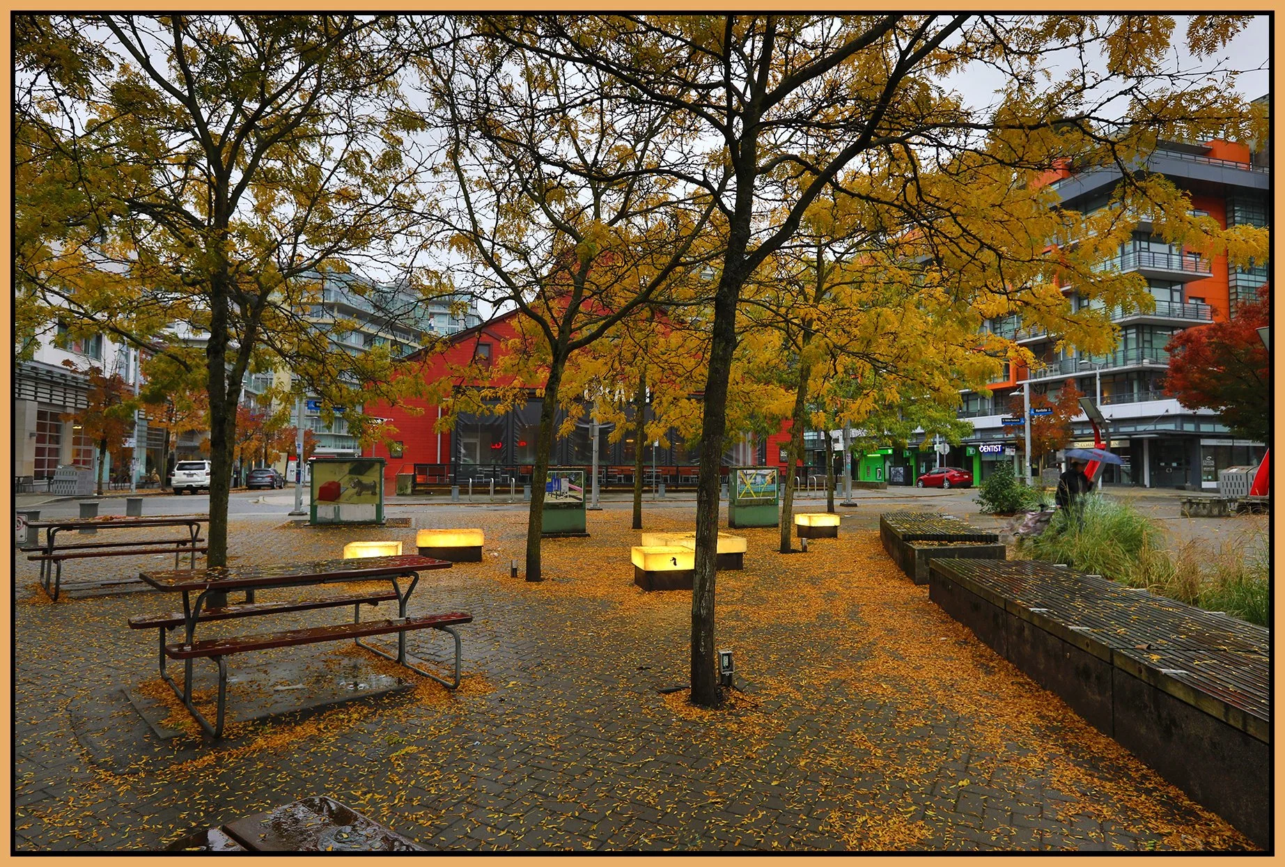 The Village Trees_Oct 14_2024_HDR_5E3012_4x6s.jpg