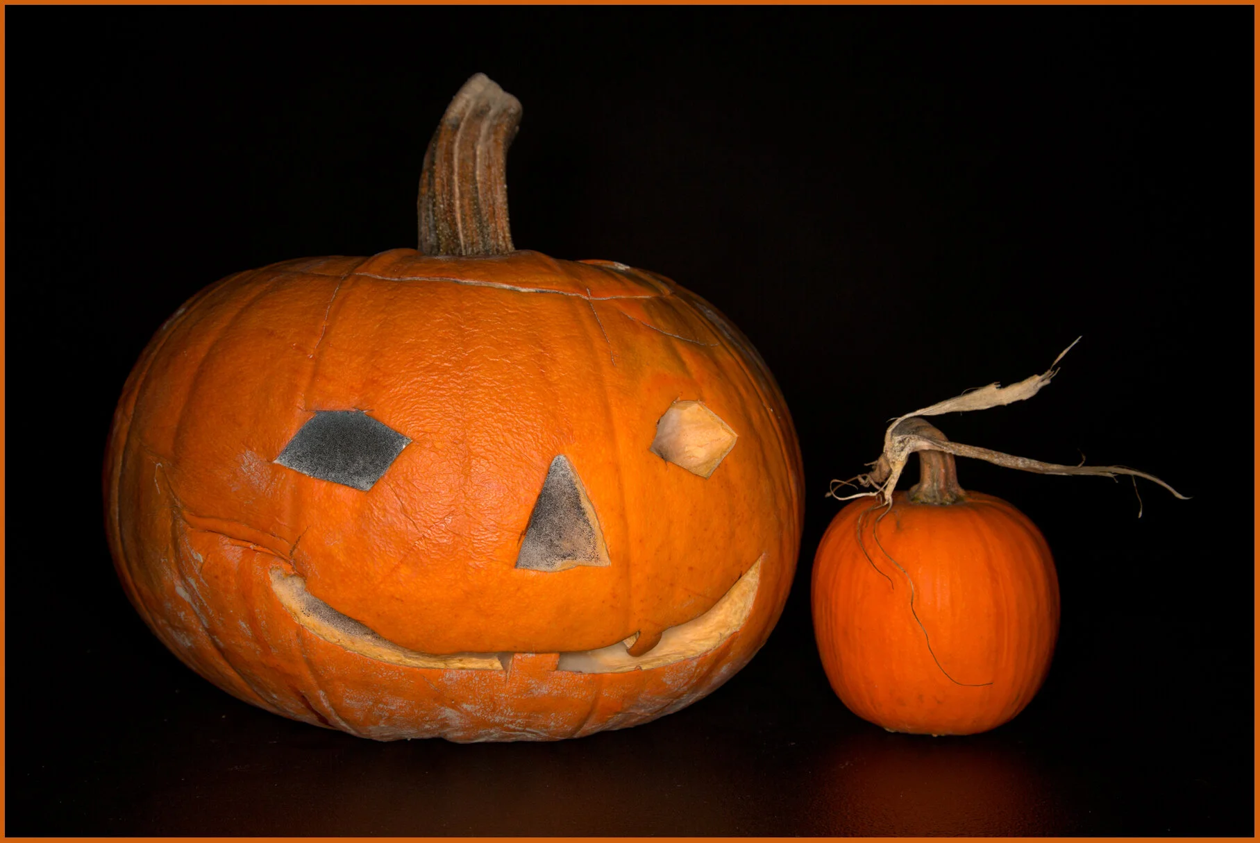 Pumpkin_Nov 7_2013_D3314_4x6s.jpg