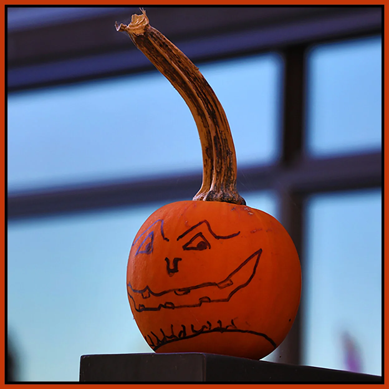 Pumpkin_Oct 16_2018_HDR_D8364_2x2s.jpg