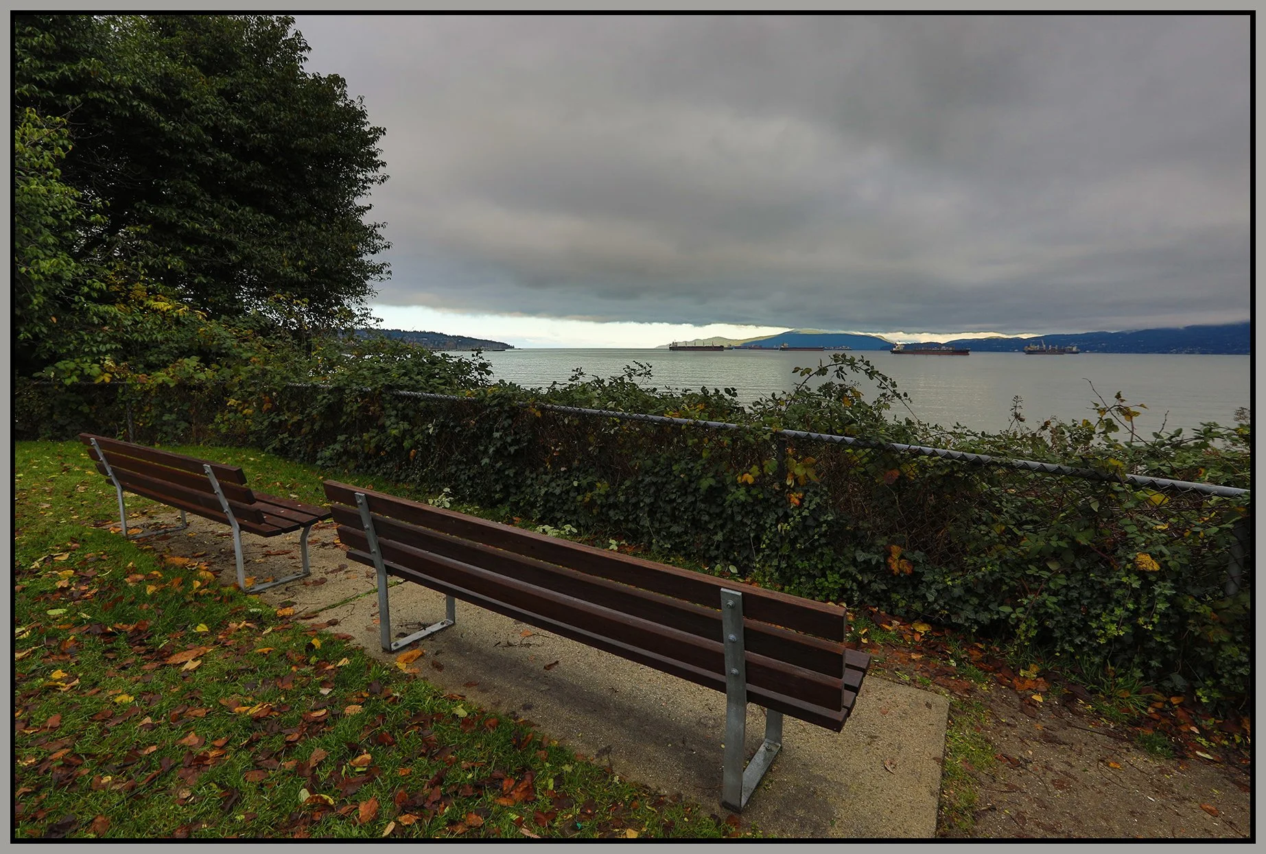 Benches Point Grey LkgNW_Nov 19_2021_HDR_5A0872_4x6s.jpg