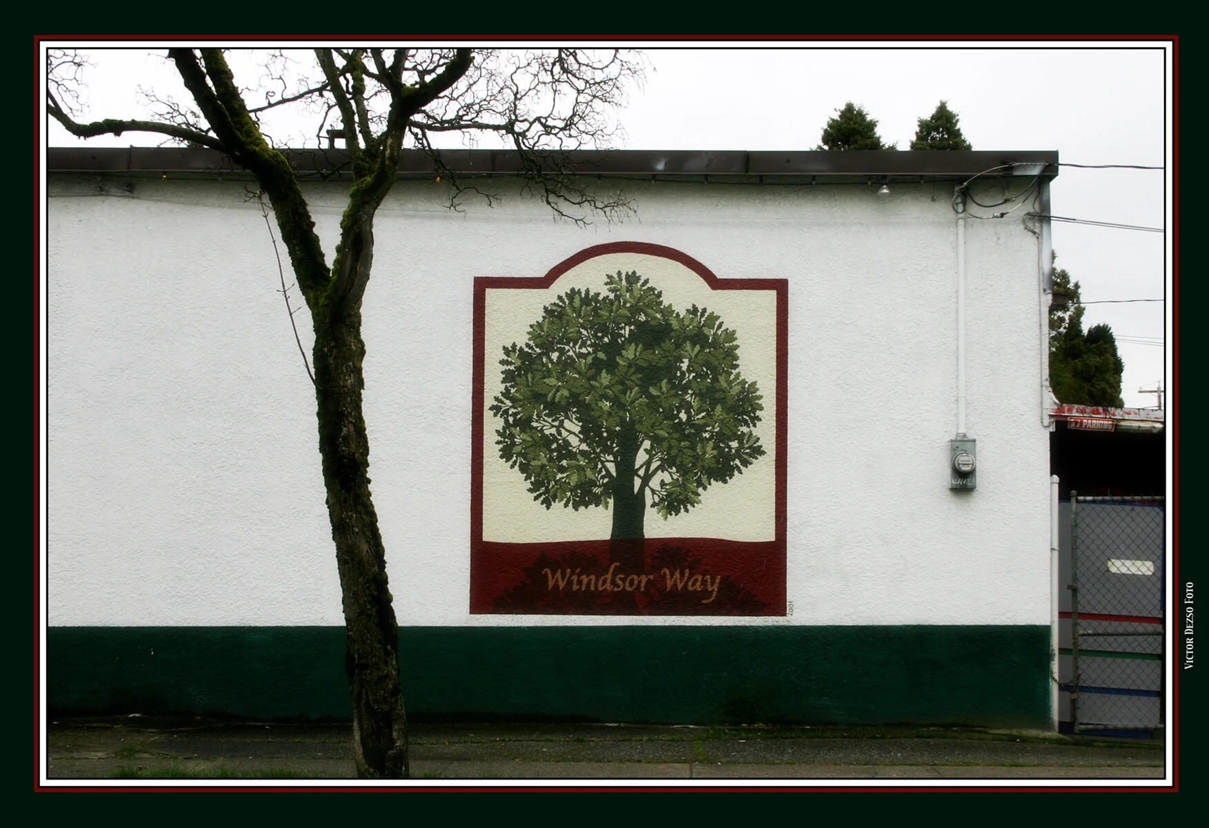Windsor Grocery_7649_4x6s.jpg