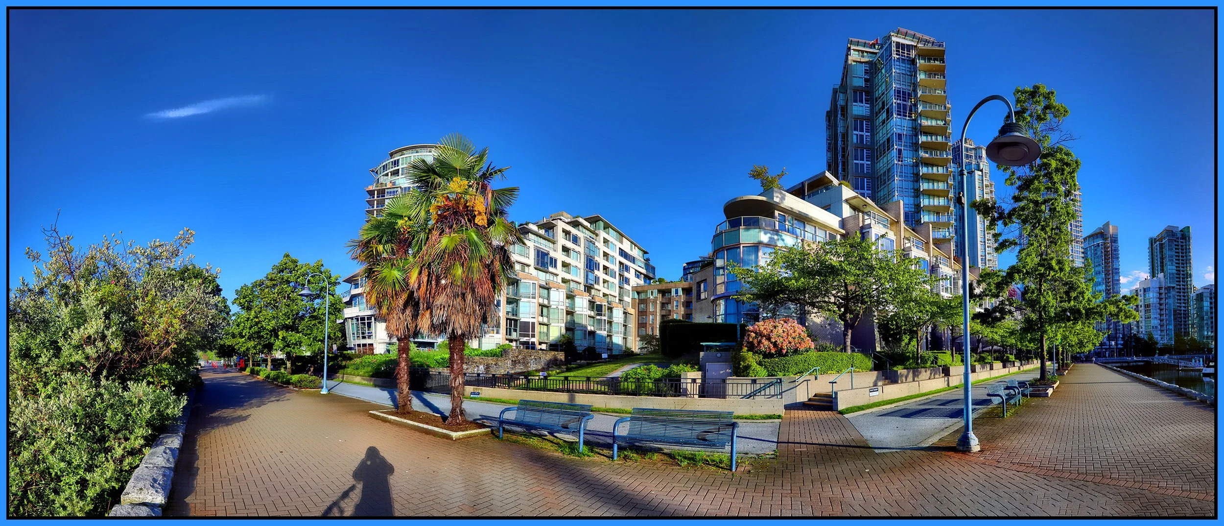 Concord Pacific LkgNW Palm Trees_Jun 5_2024_HDR_Pan_4J0156_peHdr2013_1_4x10s.jpg