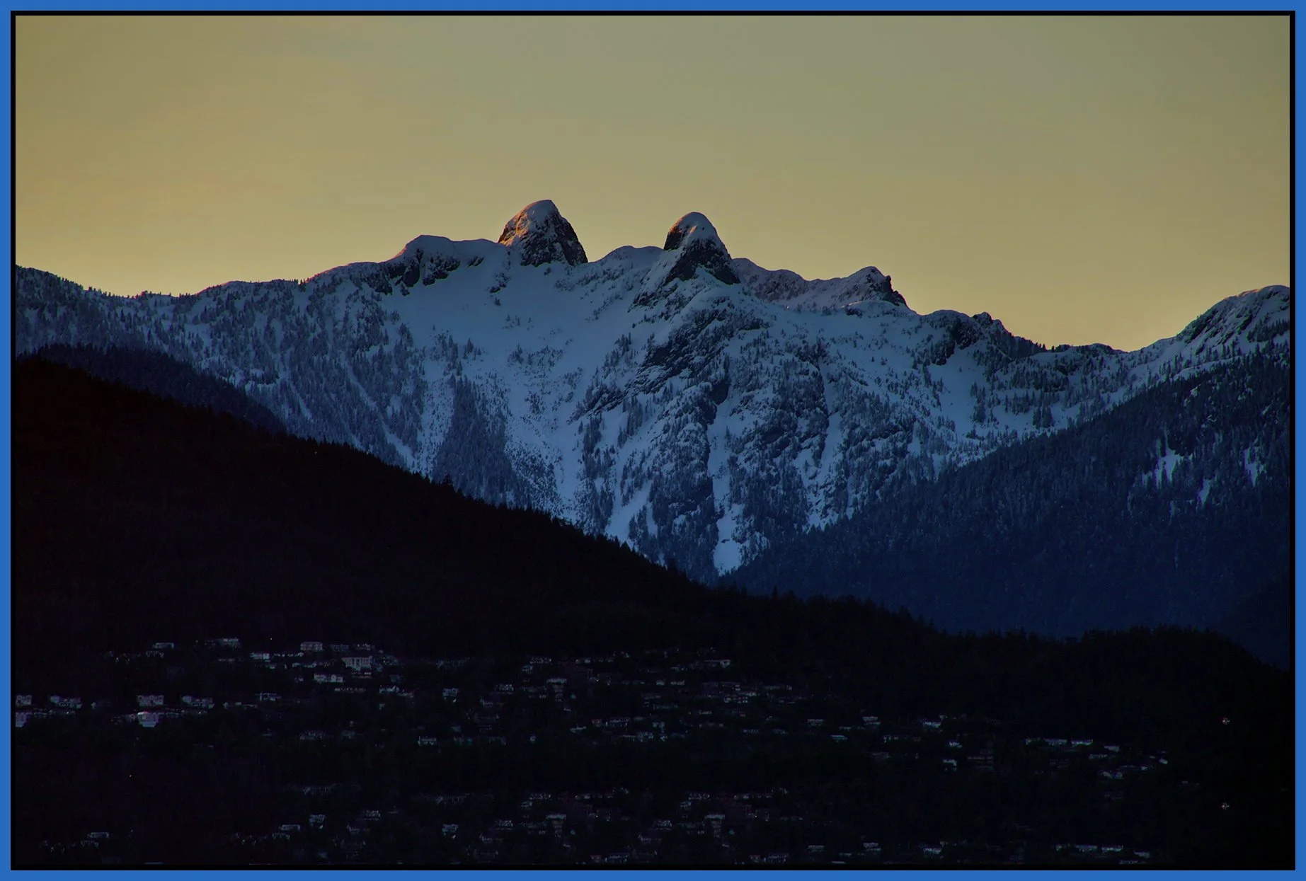 Lions Ears_Apr 10_2021_HDR_5A7630_1_4x6s.jpg
