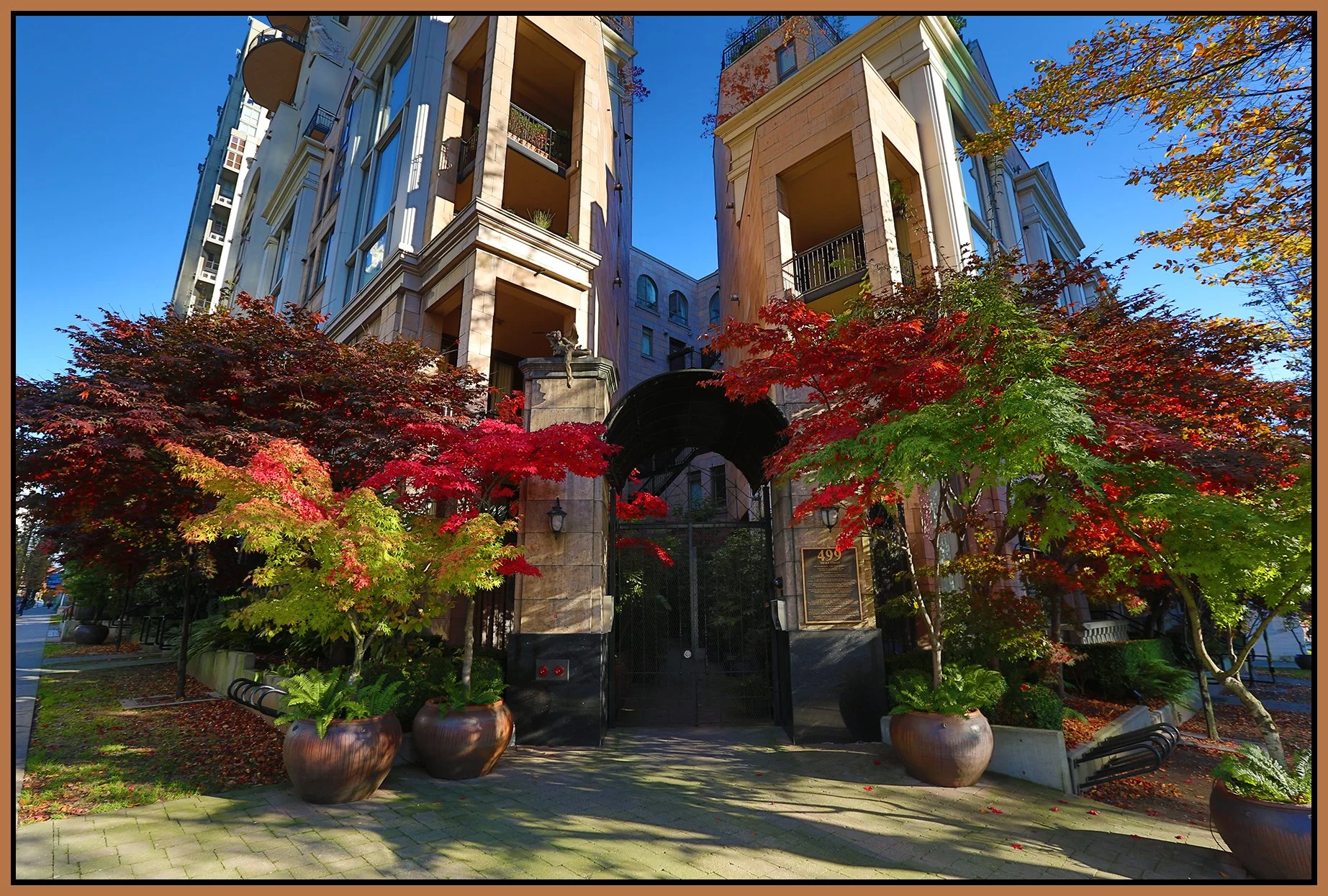 499 Drake Trees_Nov 16_2014_F6653_4x6s.jpg