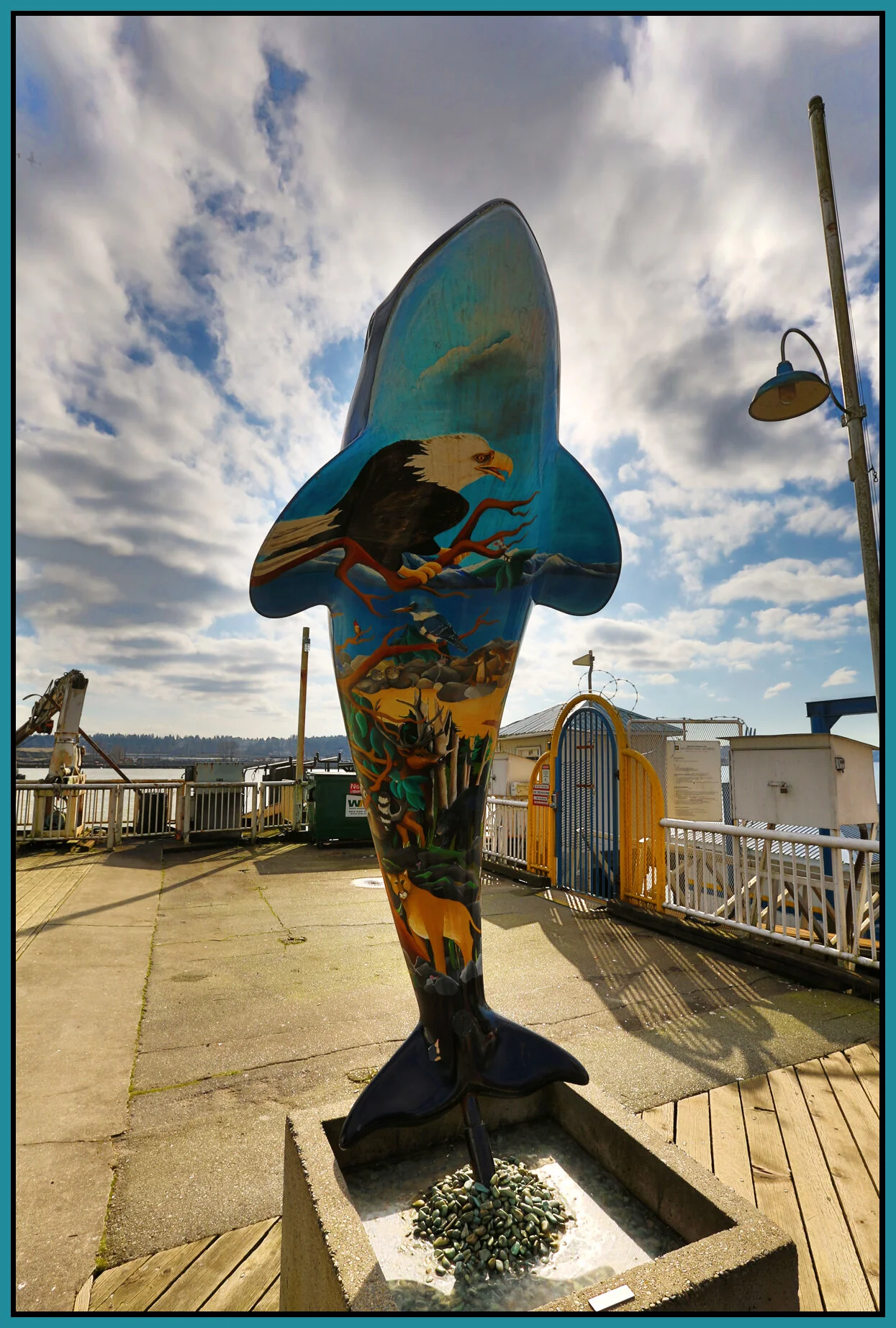 Dolphin_New West_Feb 18_2015_HDR_F2012_4x6s.jpg