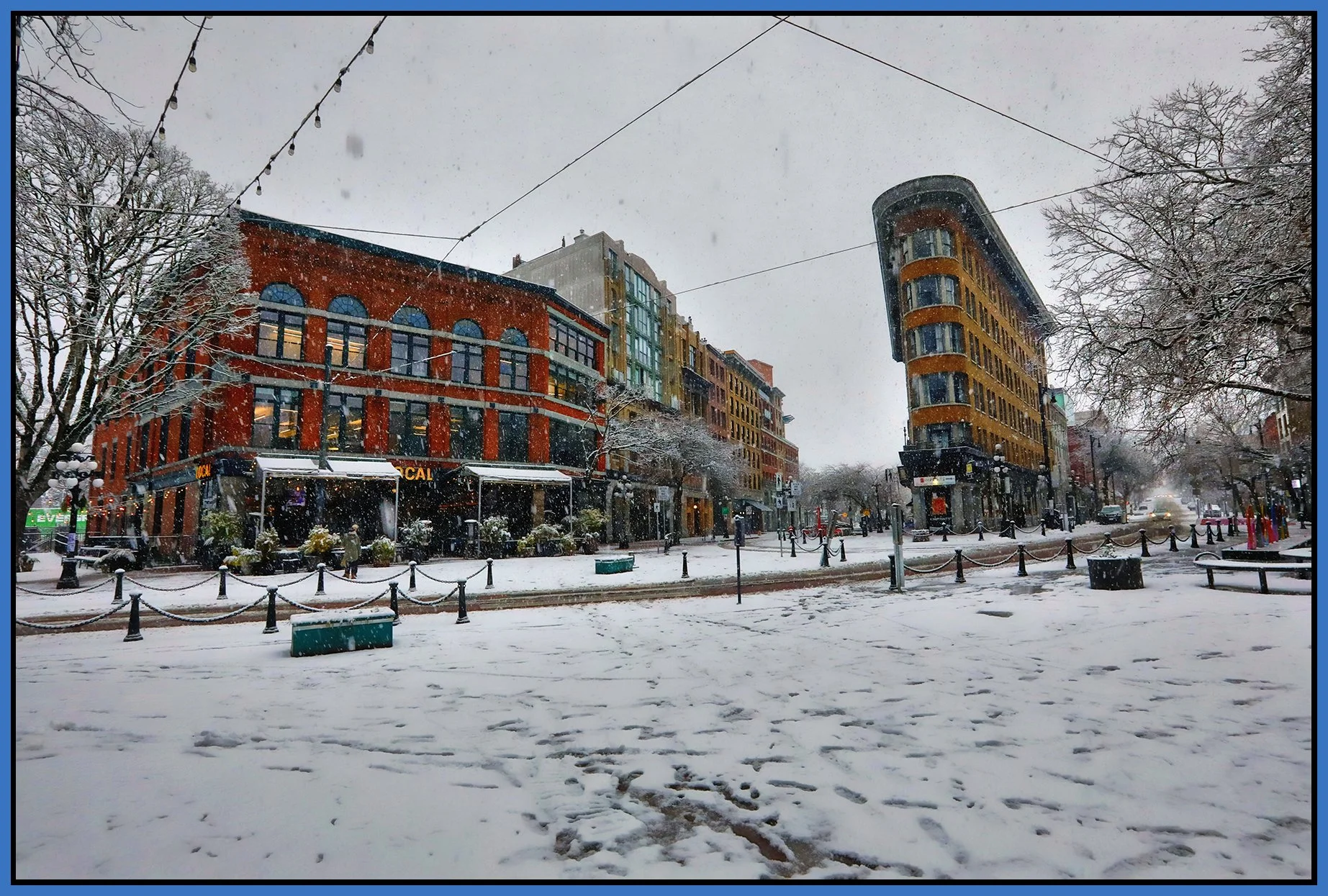 Gastown Maple Tree Square_Feb 2_2025_HDR_5E9148_peShdngCntrst_4x6s.jpg