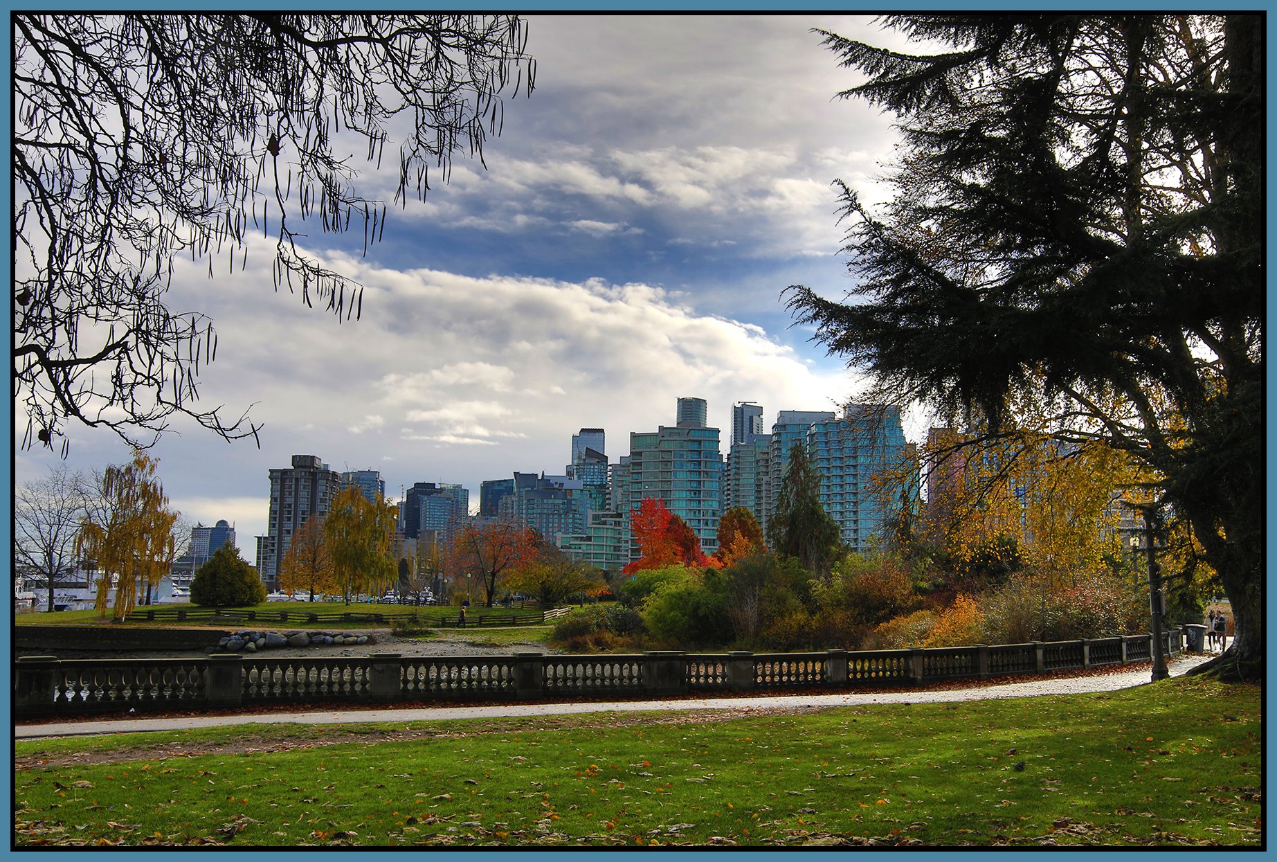 Stanley Park Fall leaves_Nov 12_2023_HDR_4H9045_4x6s.jpg
