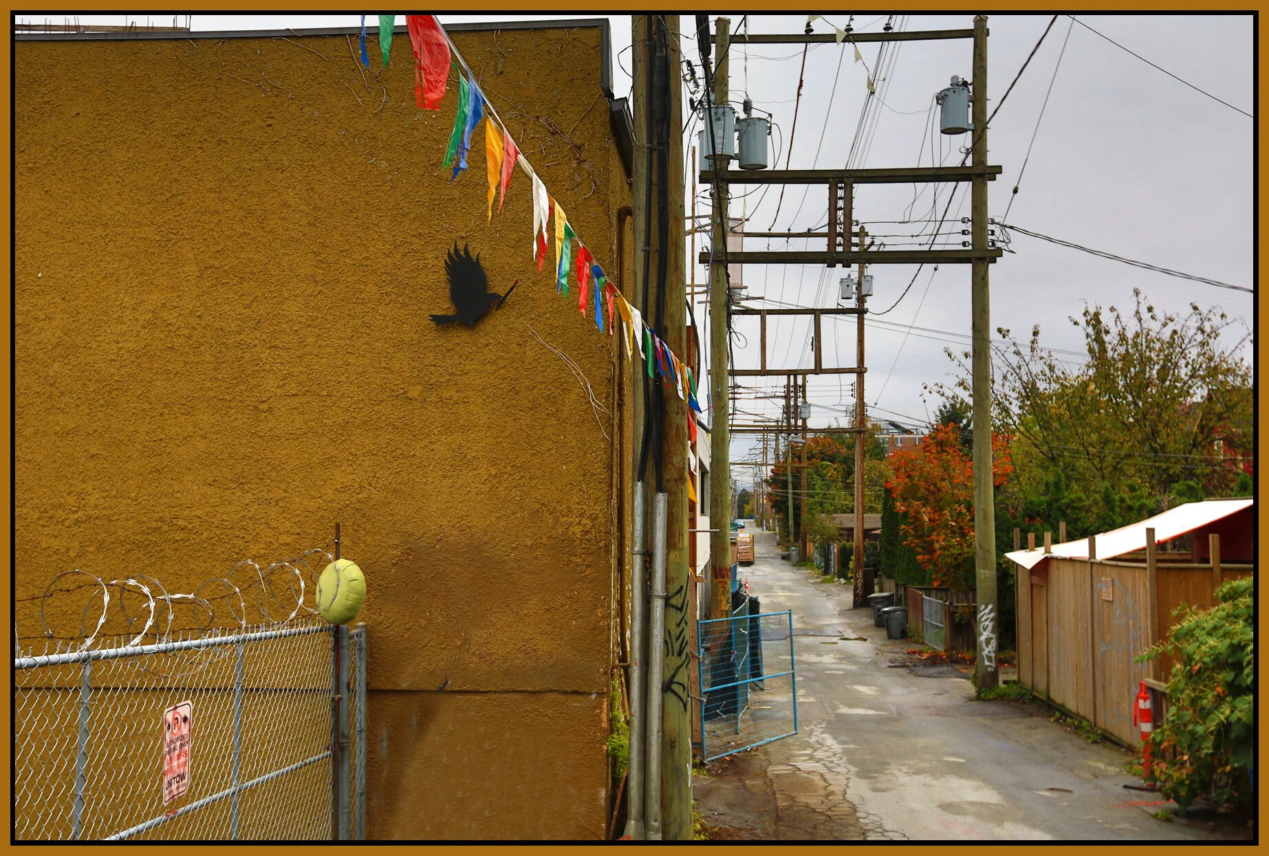 Strathcona Black Bird_Oct 20_2015_HDR_H6397_4x6s.jpg