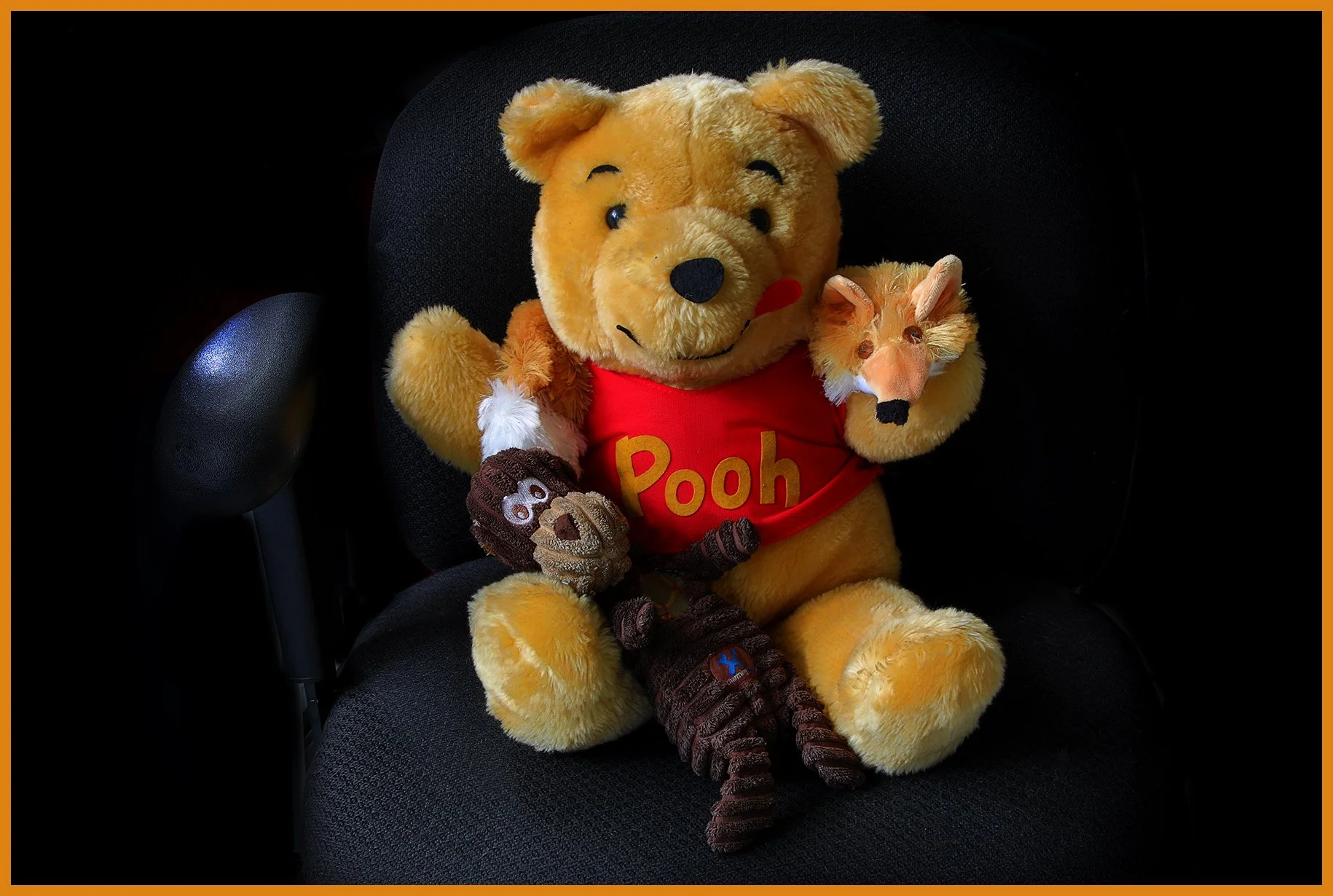 Pooh & Friends_Feb 15_2021_HDR_5A0741_1_4x6s.jpg
