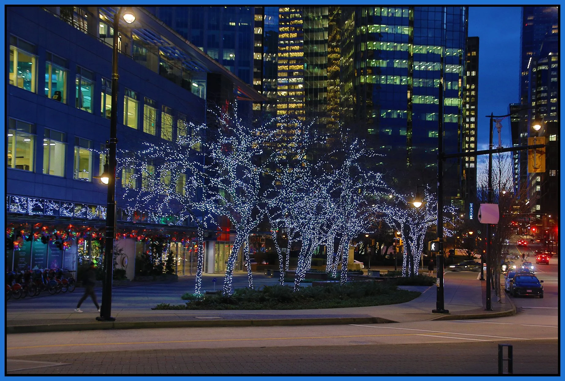 W Waterfront Road Trees_Feb 7_2024_HDR_5E4106_4x6s.jpg
