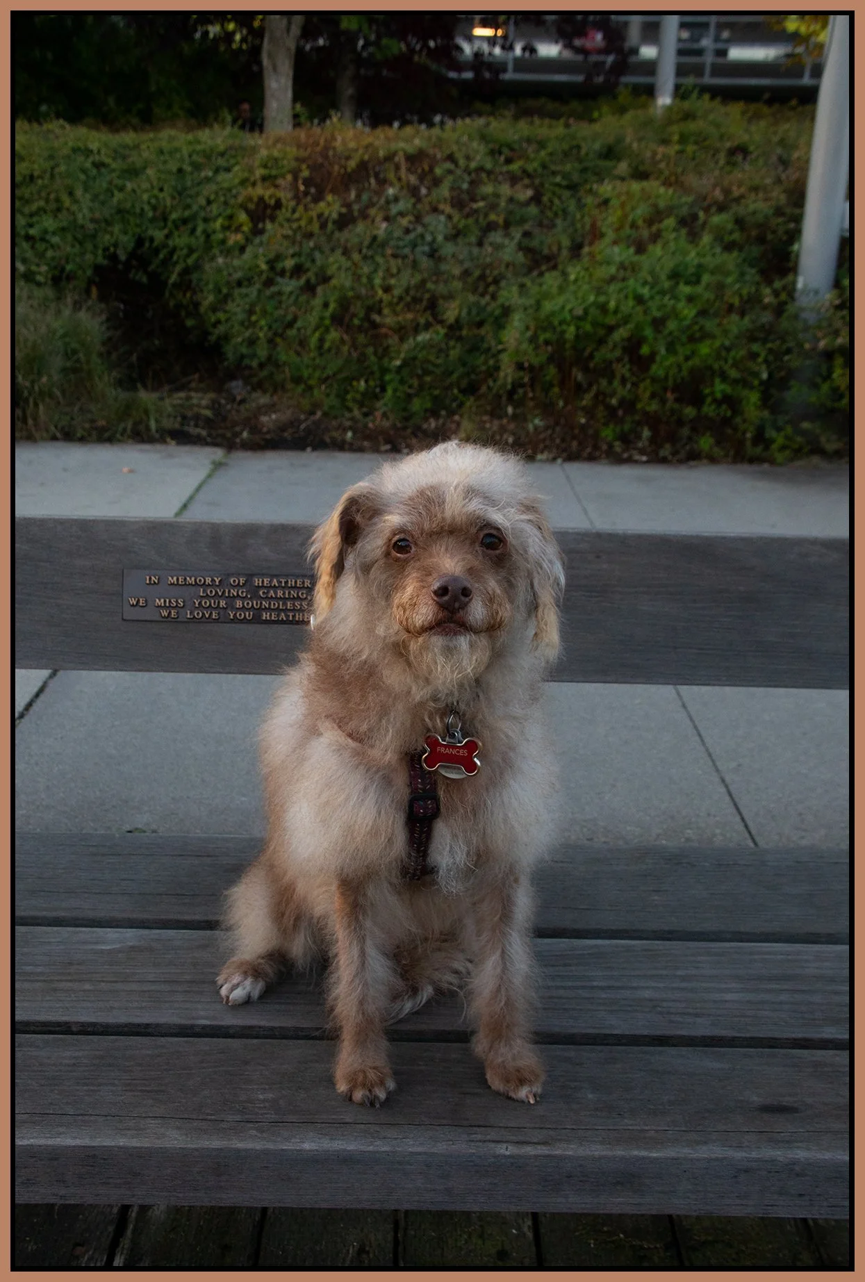 Frances_Oct 24_2024_CR2_5E3490_4x6s.jpg