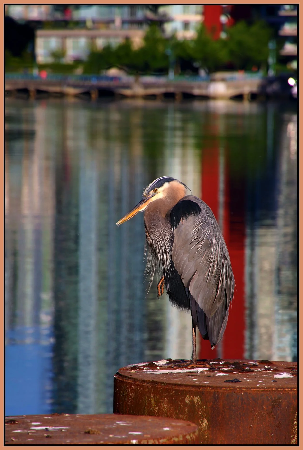 Crane 4.5 View_Vancouver_Jun 6_2016_HDR_K8406_4x6s.jpg