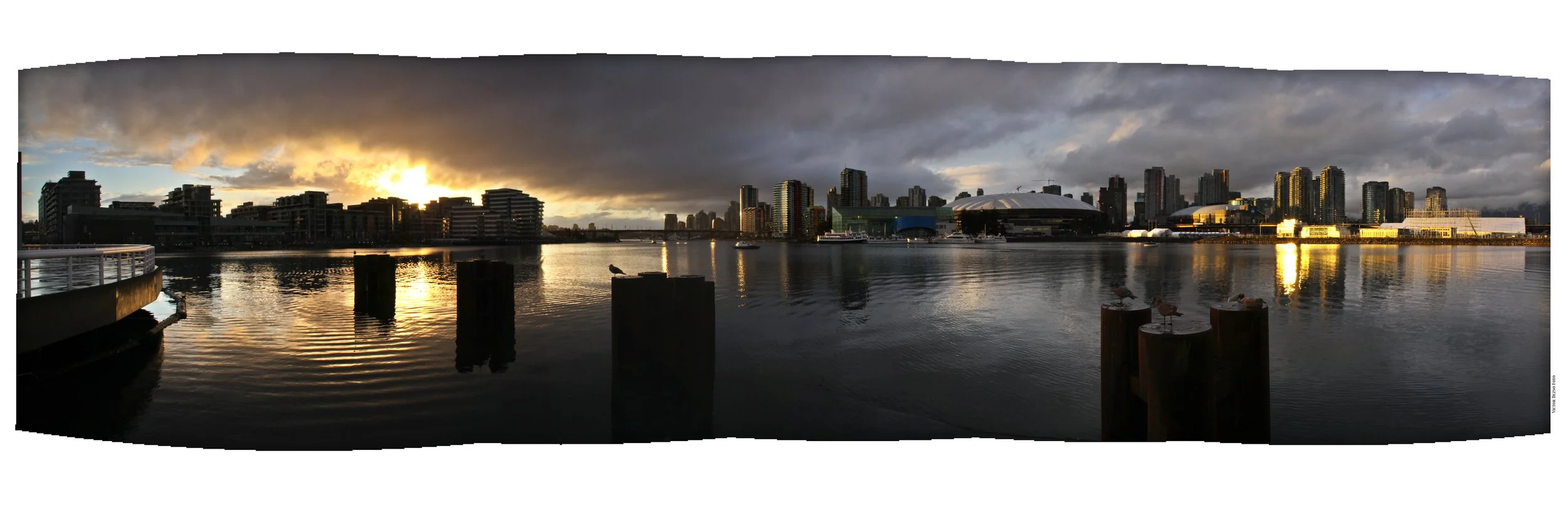 5 View_Dec 16_09_Pan_7541vel_1_4x12.jpg