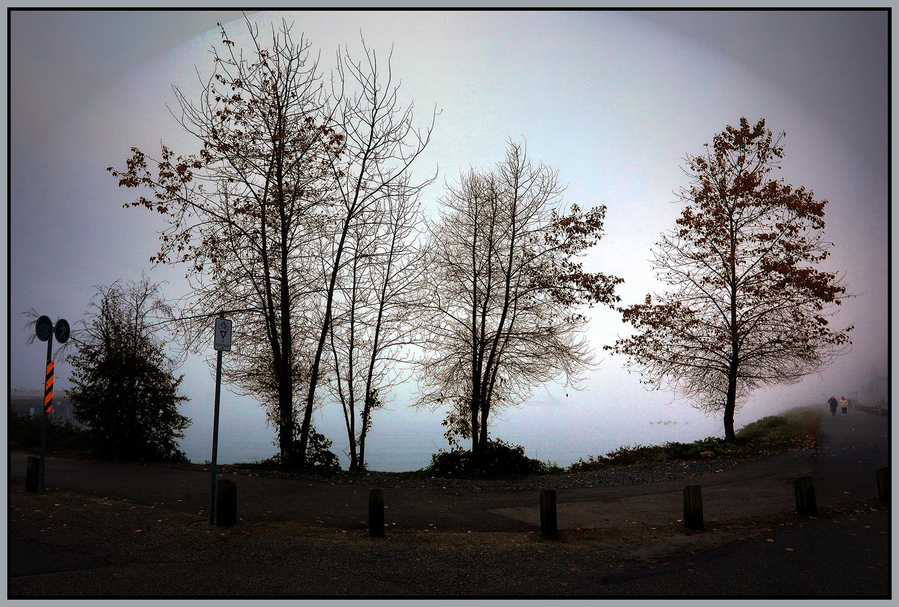 6 View Trees False Creek in Fog_Nov 29_2023_HDR_5E1091_peDrkImpct_4x6s.jpg