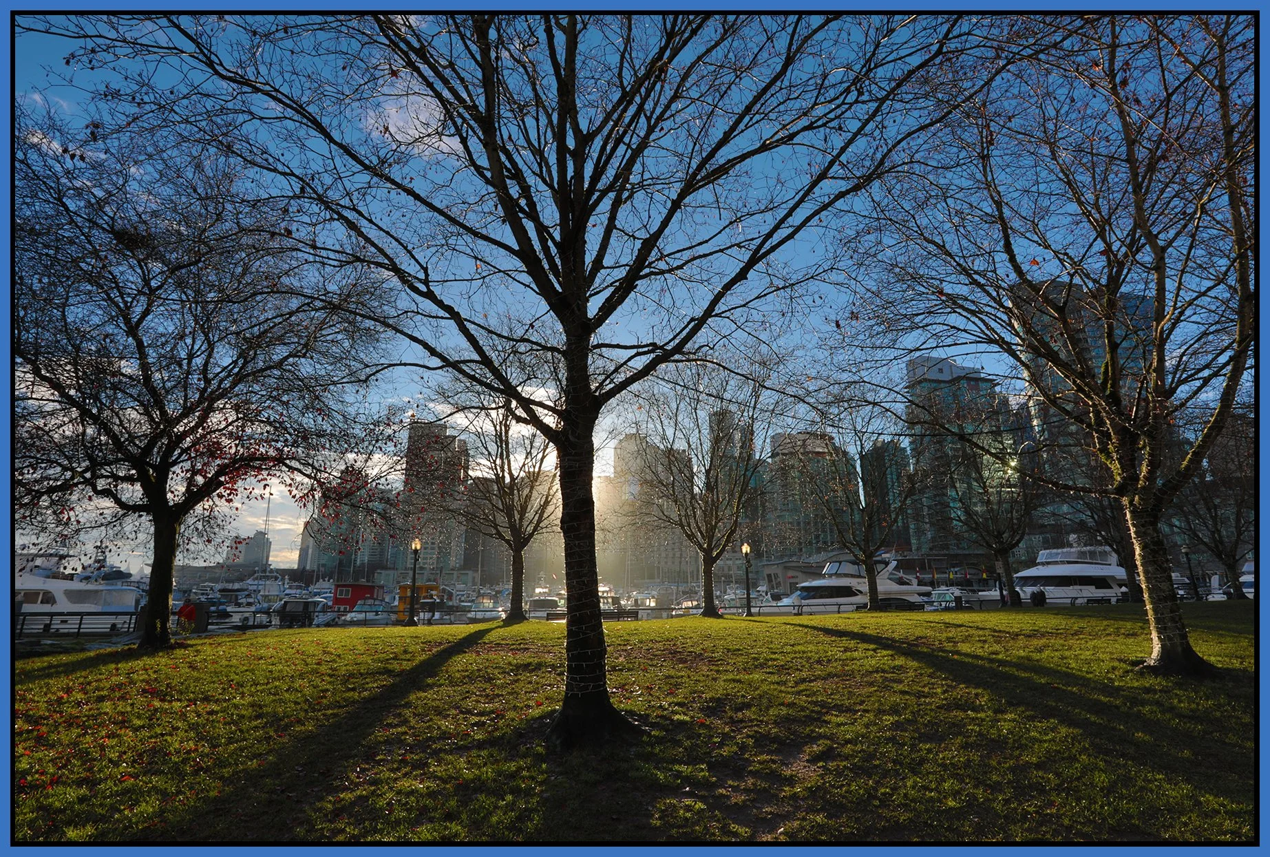 Cordova Park Trees LkgE_Dec 6_2025_HDR_4K5903_4x6s.jpg