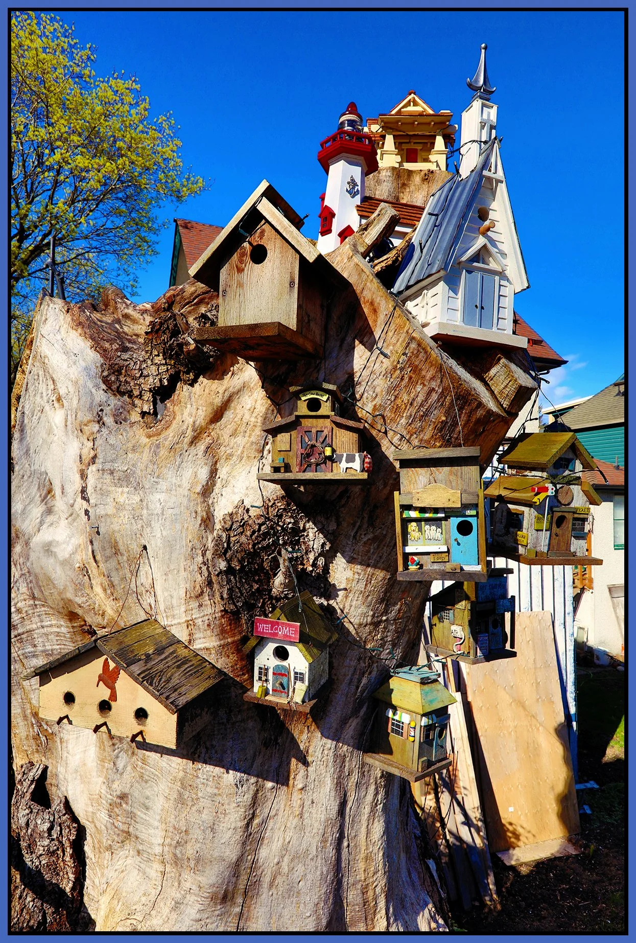 580 Heatley Tree Houses_Apr 9_2024_HDR_4H6702_pePop_Hyperstrip_4x6s.jpg