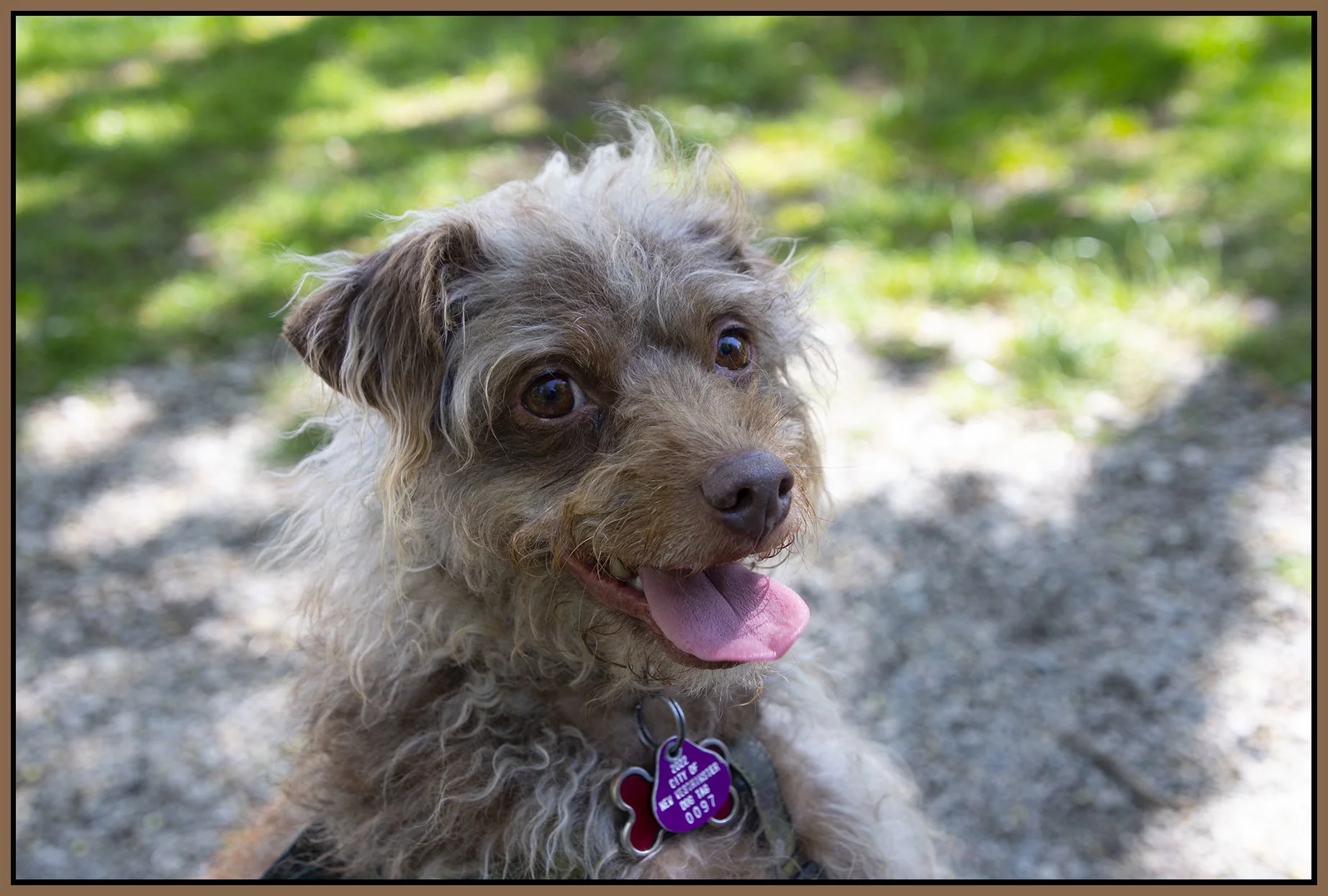 Frances_May 13_2022_CR2_4G9529_4x6s.jpg