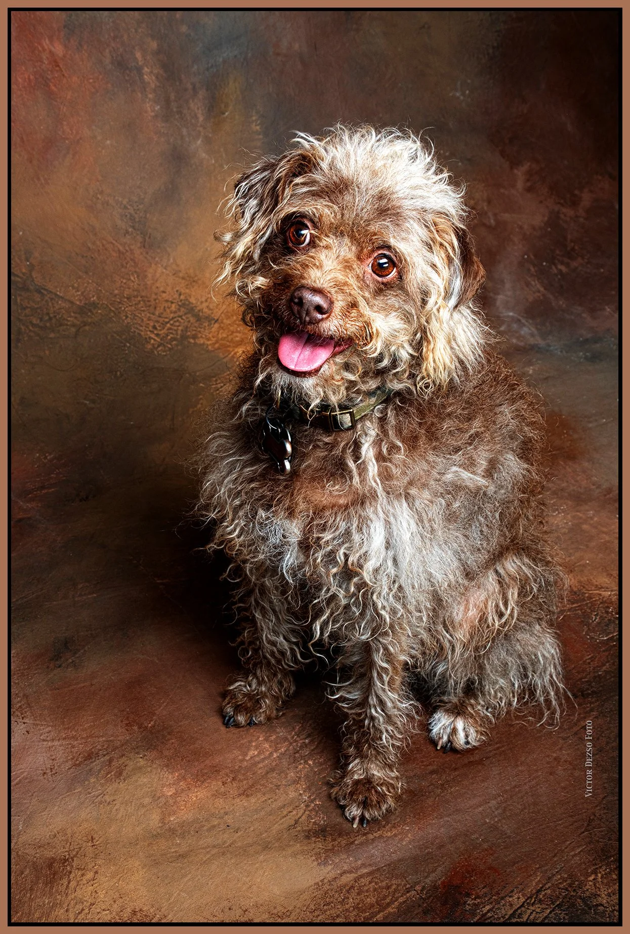 Frances_Jun 11_2023_4H7706_pehdr_4x6s.jpg