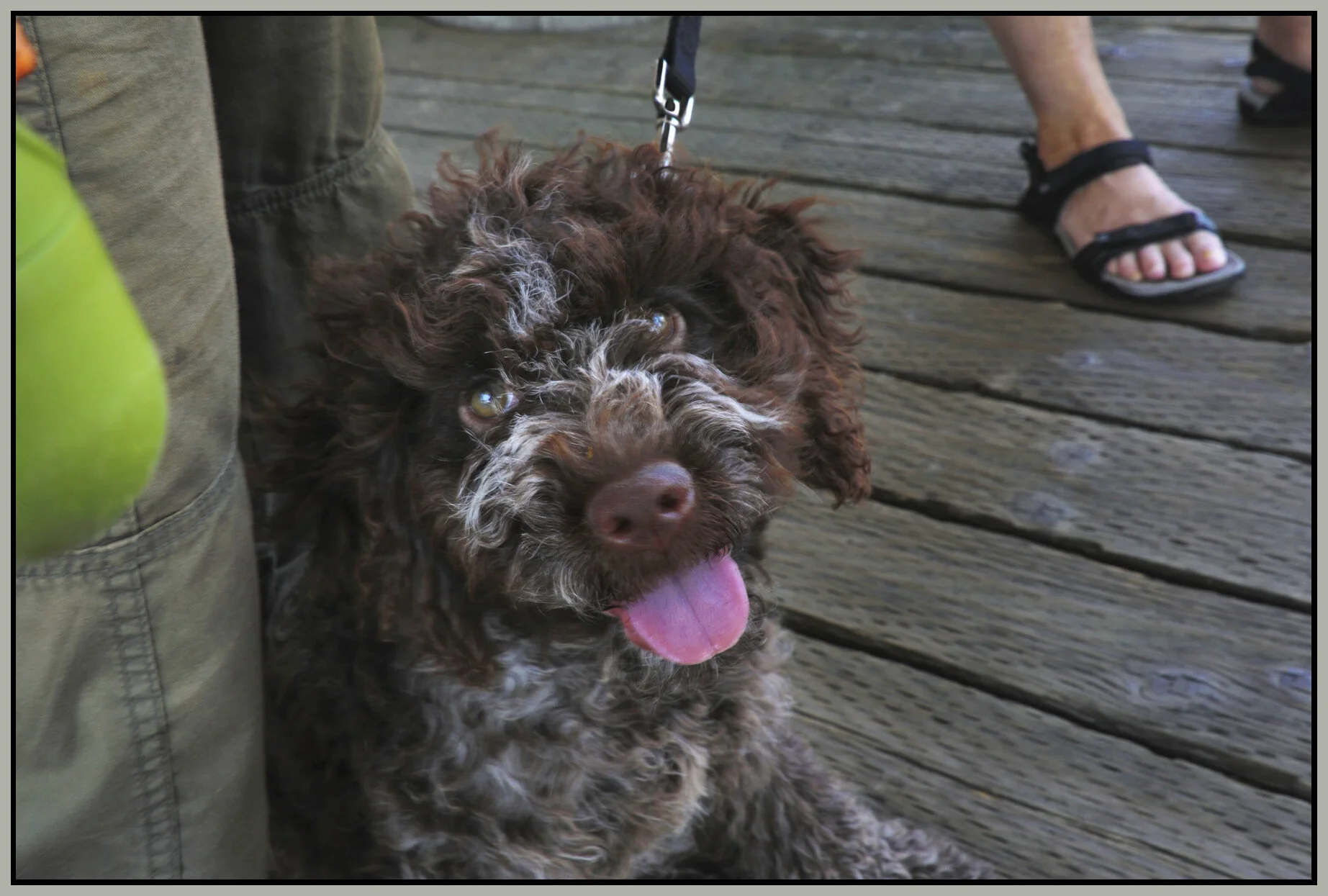 Lucy_New West_Jul 18_2017_B0441_4x6s.jpg
