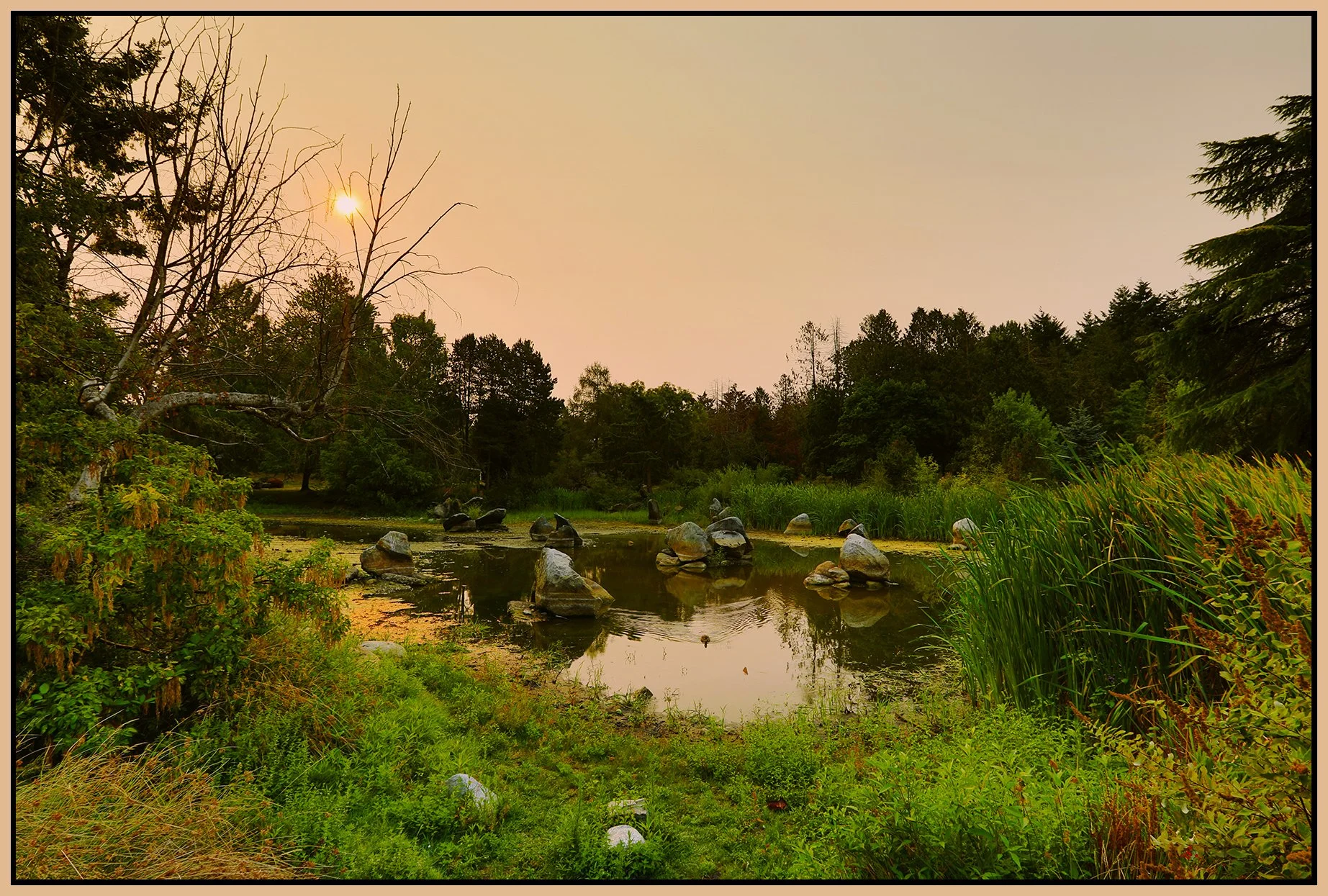 Charleson Pk Pond_Aug 20_2023_HDR_5C4522_peEWGT_4x6s.jpg