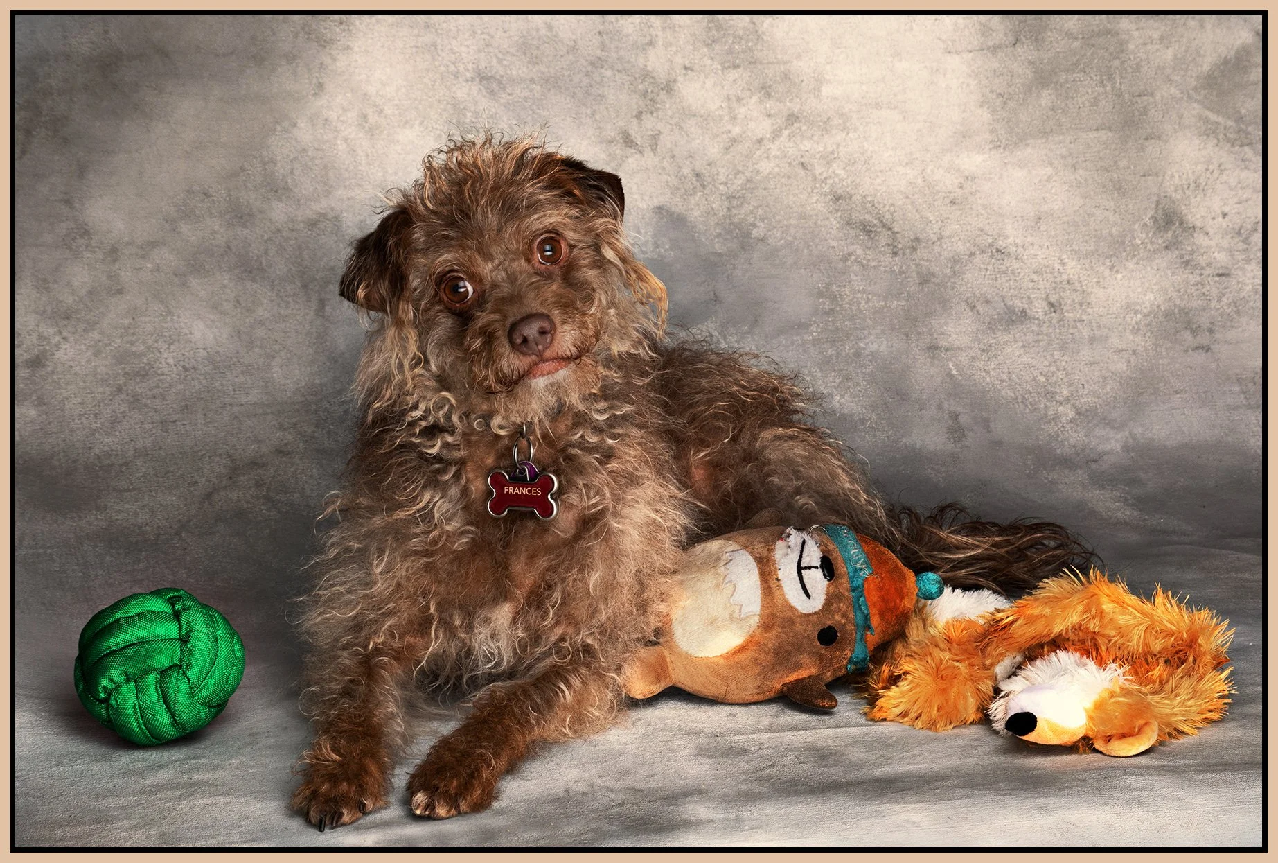 Frances Stewart_Mar 16_2022_CR2_5B0558_peWw&_4x6s_1.jpg