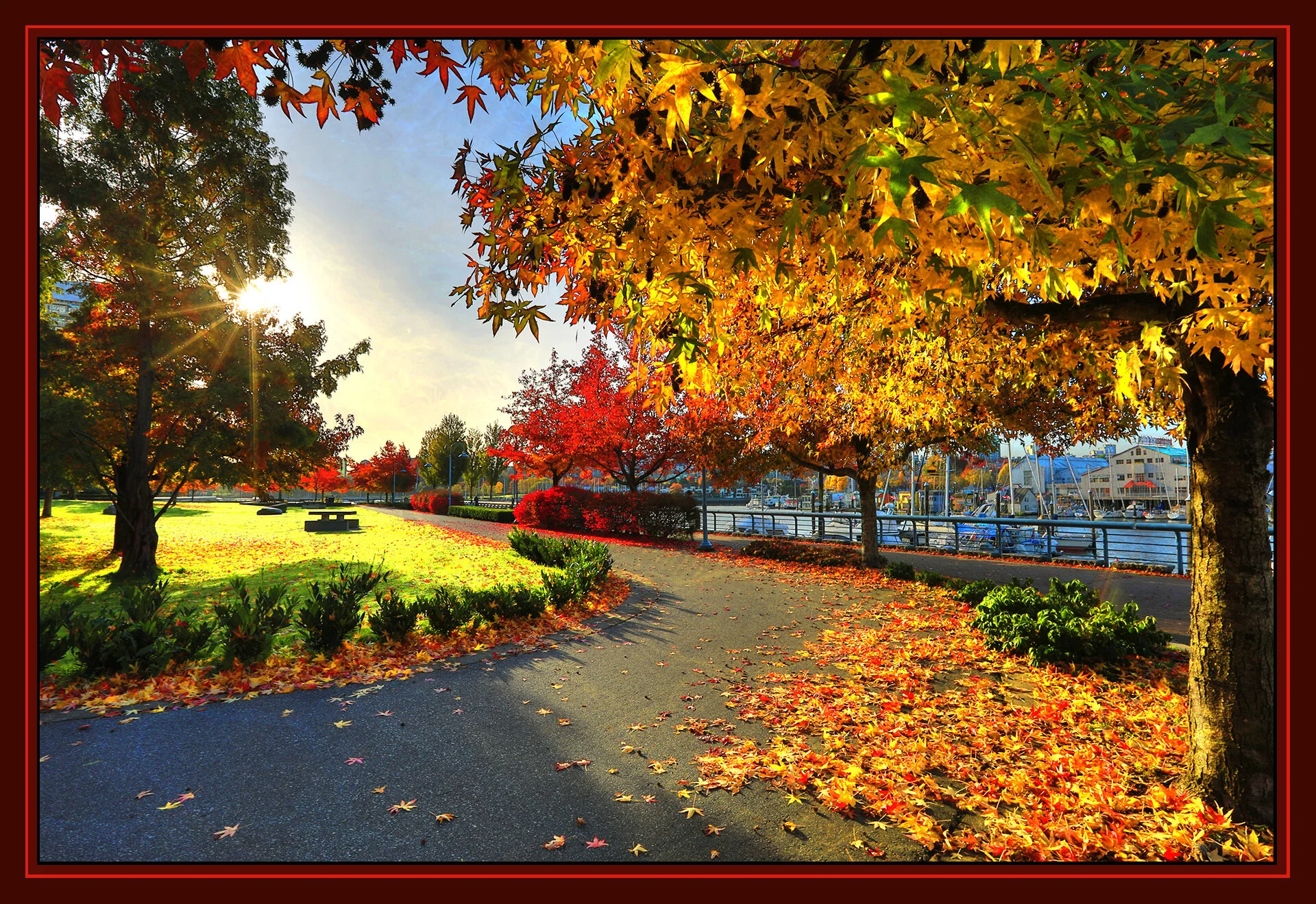 Fall Leaves_Oct 23_2019_HDR_F9018_peUndrWtrRV_4x6s.jpg