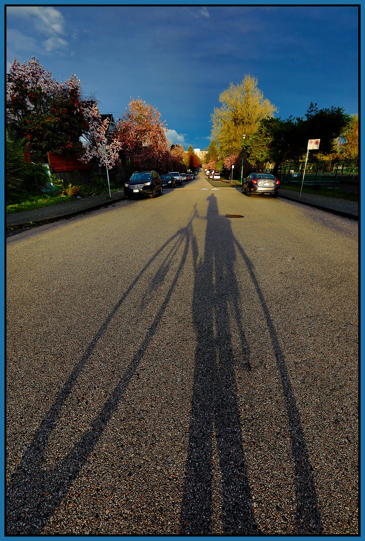 Strathcona Shadow_Apr 9_2023_HDR_5D6838_pePop_4x6s.jpg