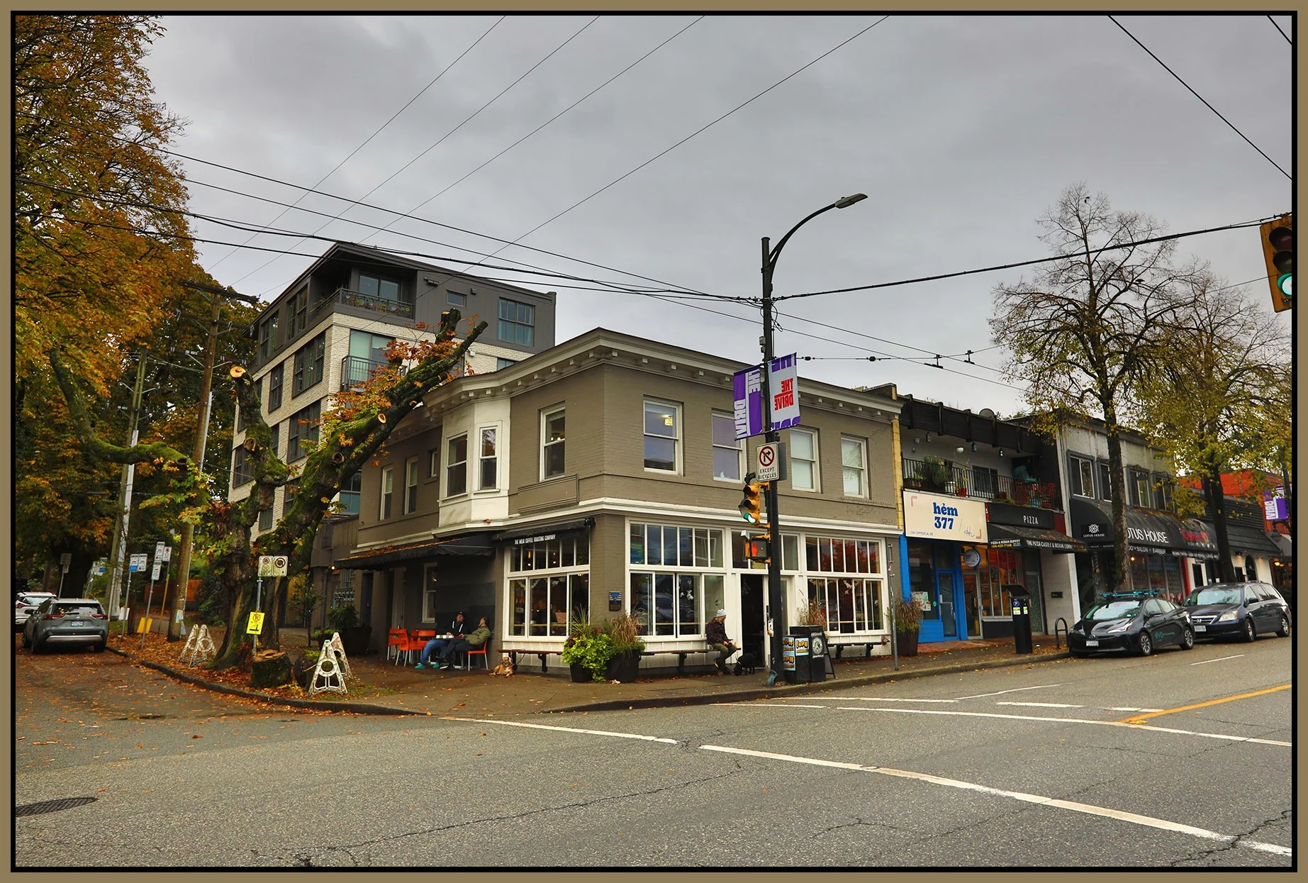 1102 Commercial Dr Tree _Oct 27_2024_HDR_5E3679_4x6s.jpg