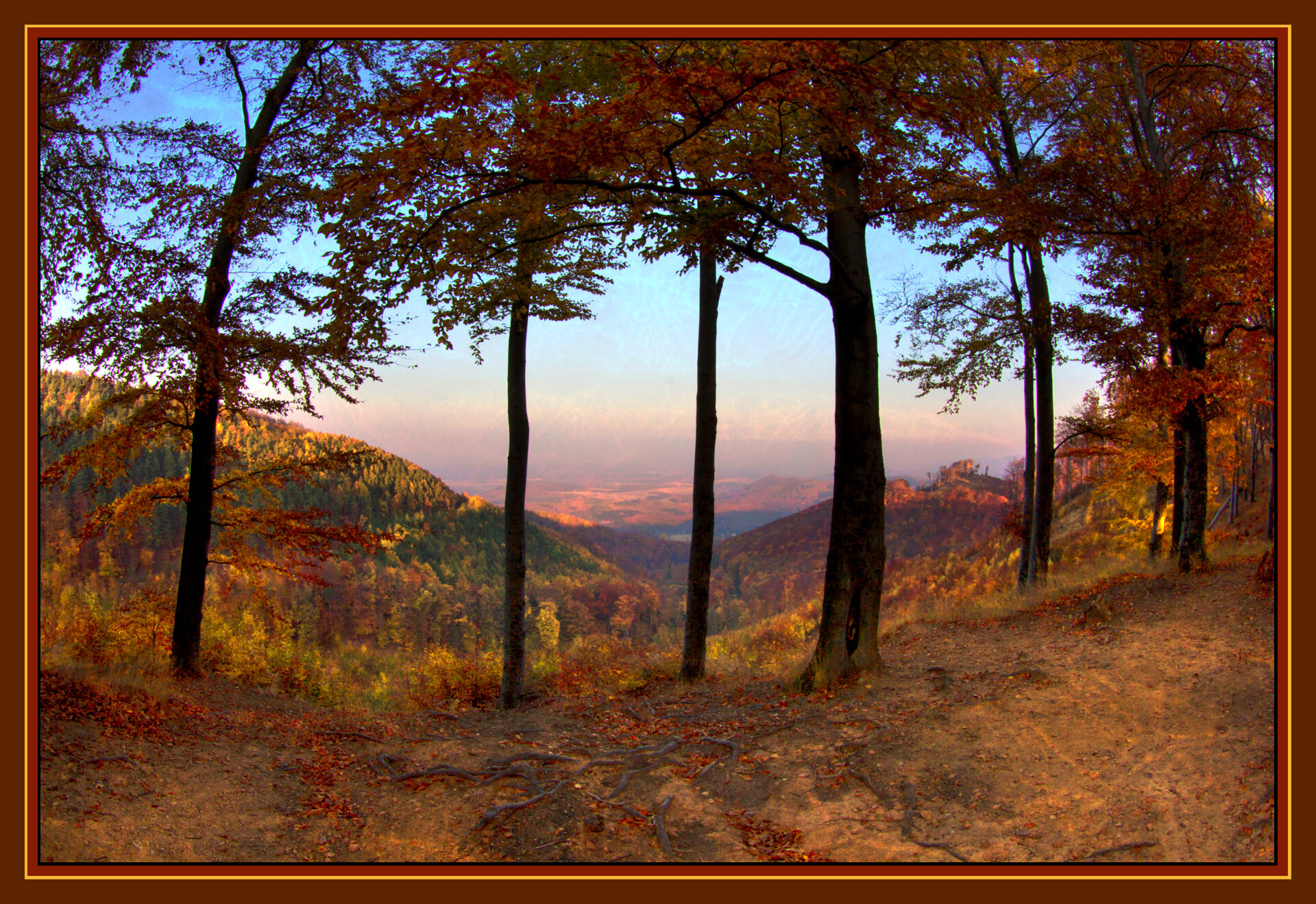 Mátra_Nov 1_2011_9547_peUWR_4x6s.jpg