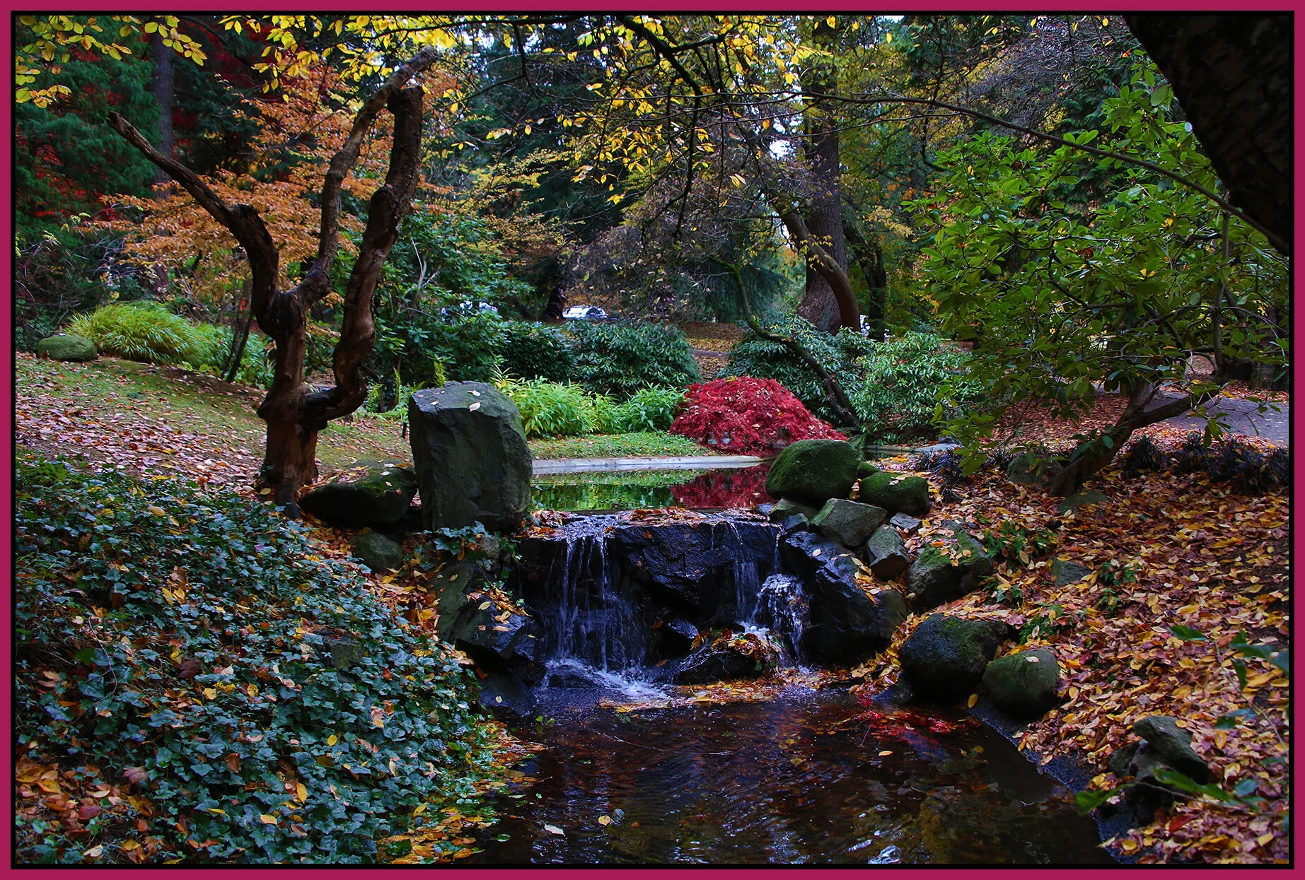 Tipperary Pk New West_Nov 11_2020_HDR_3B5293_4x6s.jpg