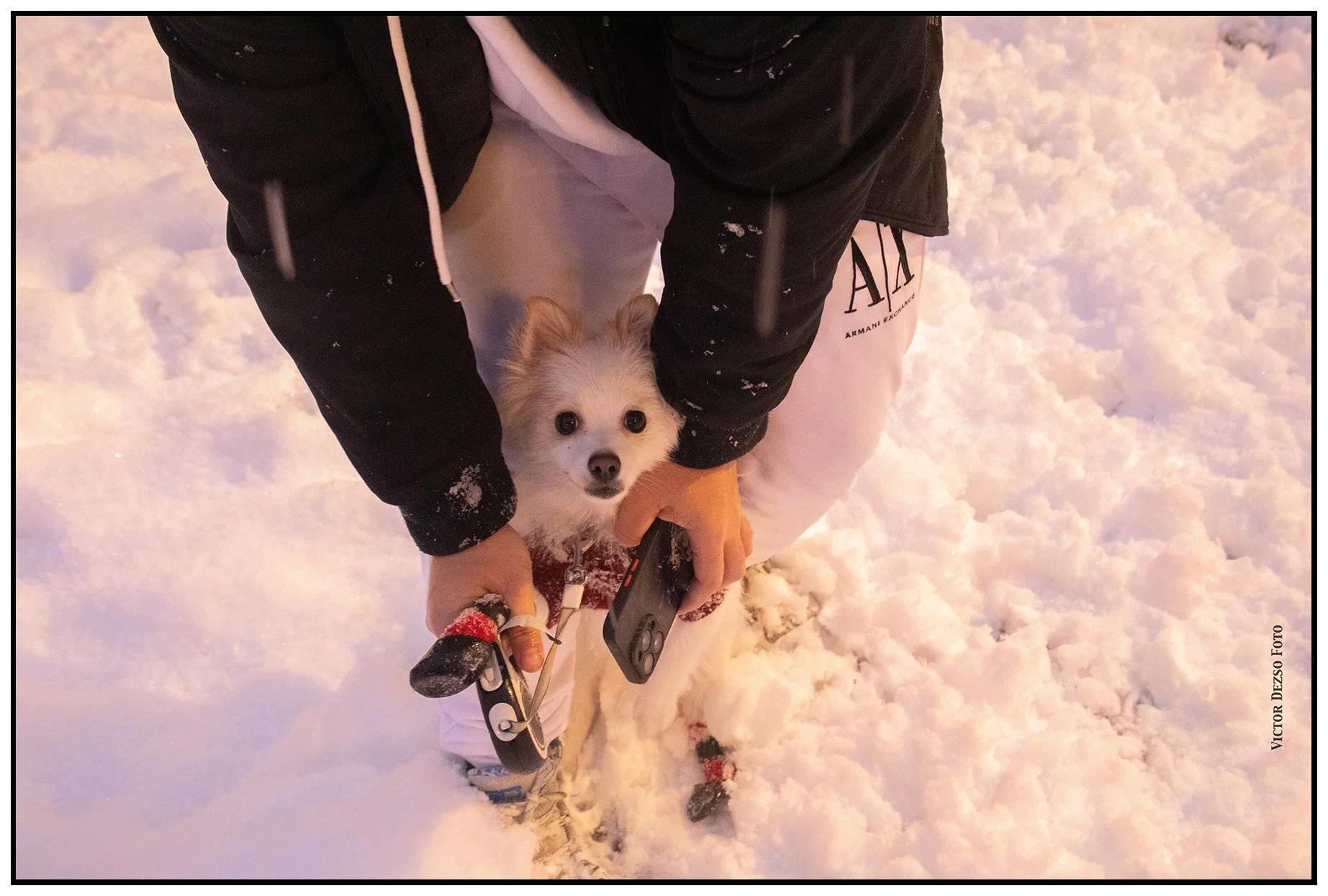 Lilly in the Snow_Jan 17_2024_CR2_5E3695_4x6s.jpg