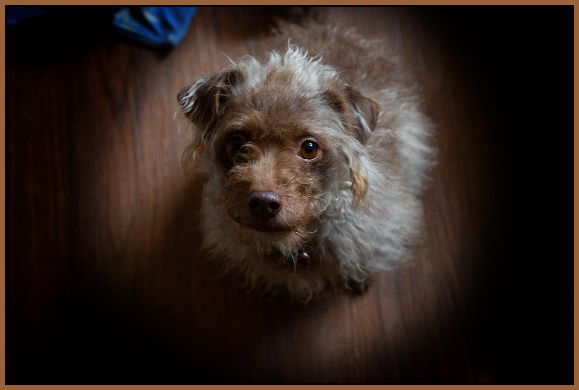 Frances_Mar 7_2021_CR2_4G5739_4x6_1s.jpg