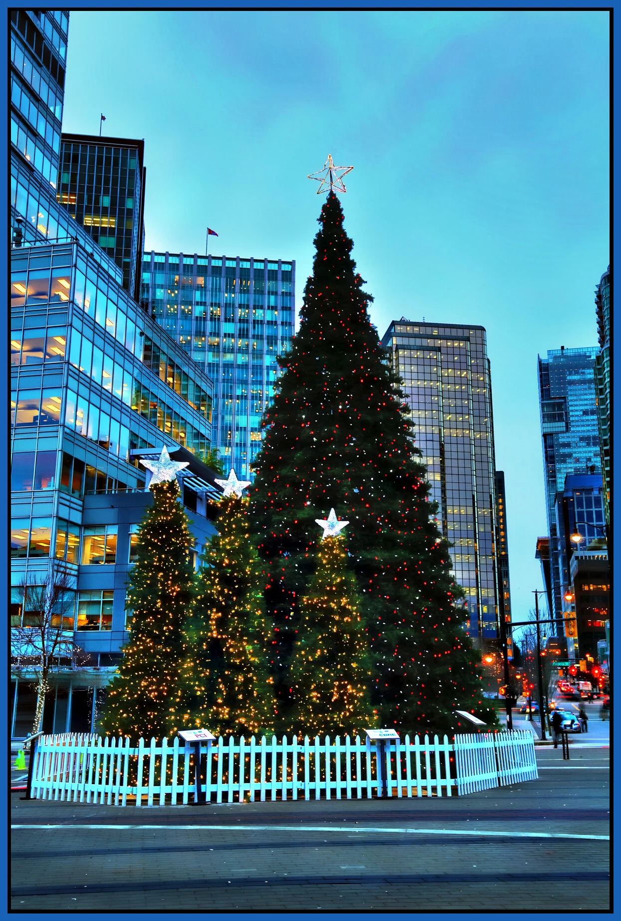 JackPoolePlaza Tree_Dec 16_2014_HDR_F1536_peHdr2013a_4x6s.jpg