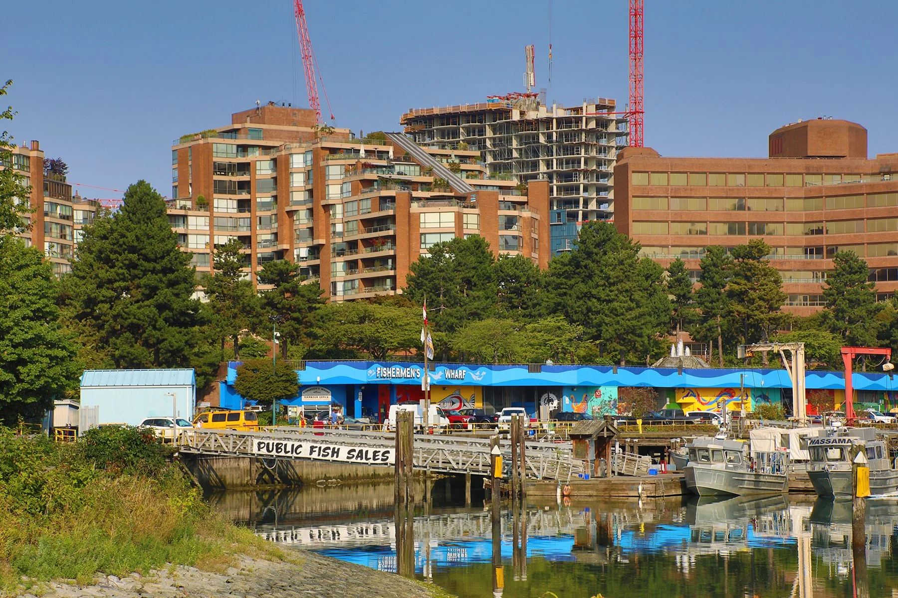 Senakw Const_Seo 6_2024_HDR_4J3370_4x6.jpg