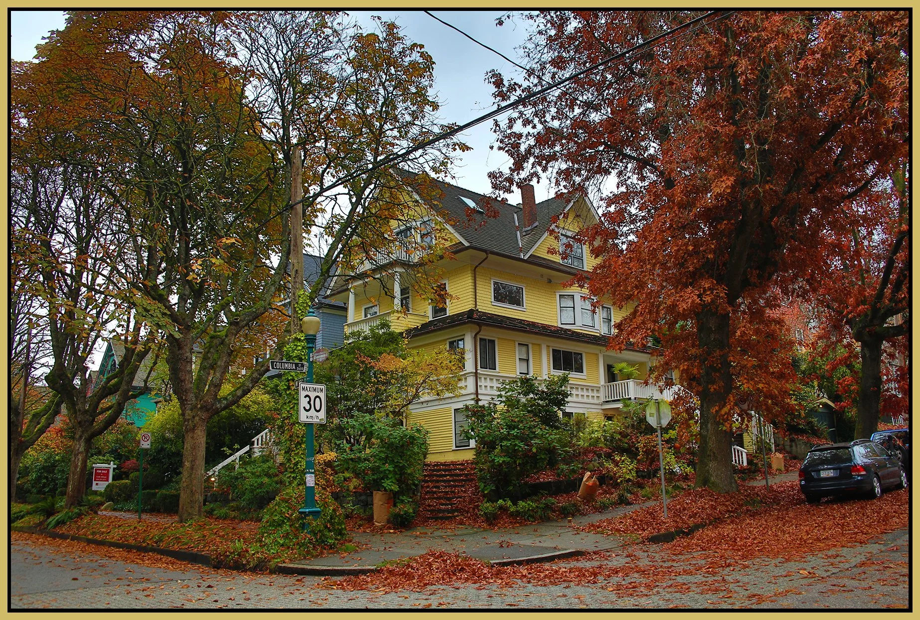10 th Ave Trees Vancouver_Oct 24_2018_HDR_A0259_4x6s.jpg