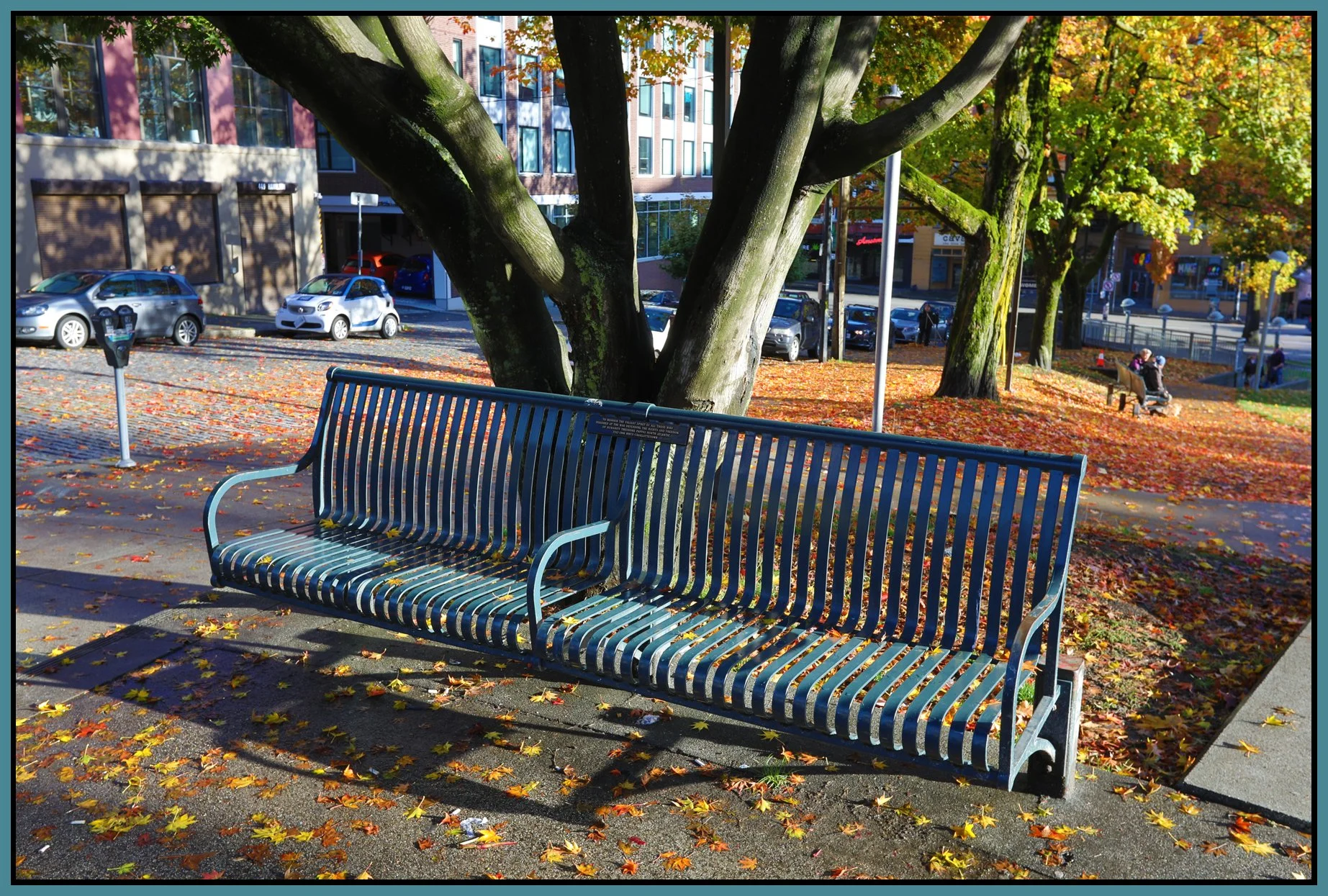 Bench on W Pender_Oct 22_2017_HDR_B2695_4x6s.jpg