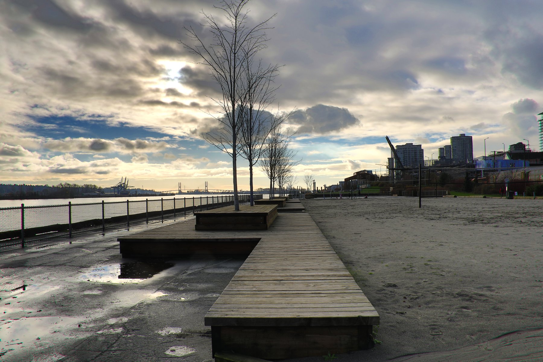 New West Trees_Nov 28_2016_HDR_A0374_4x6.jpg