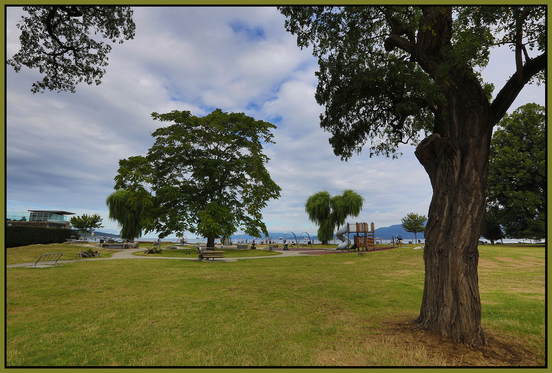 Kitsilano Beach Trees_Aug 17_2025_HDR_4K1212_4x6s.jpg
