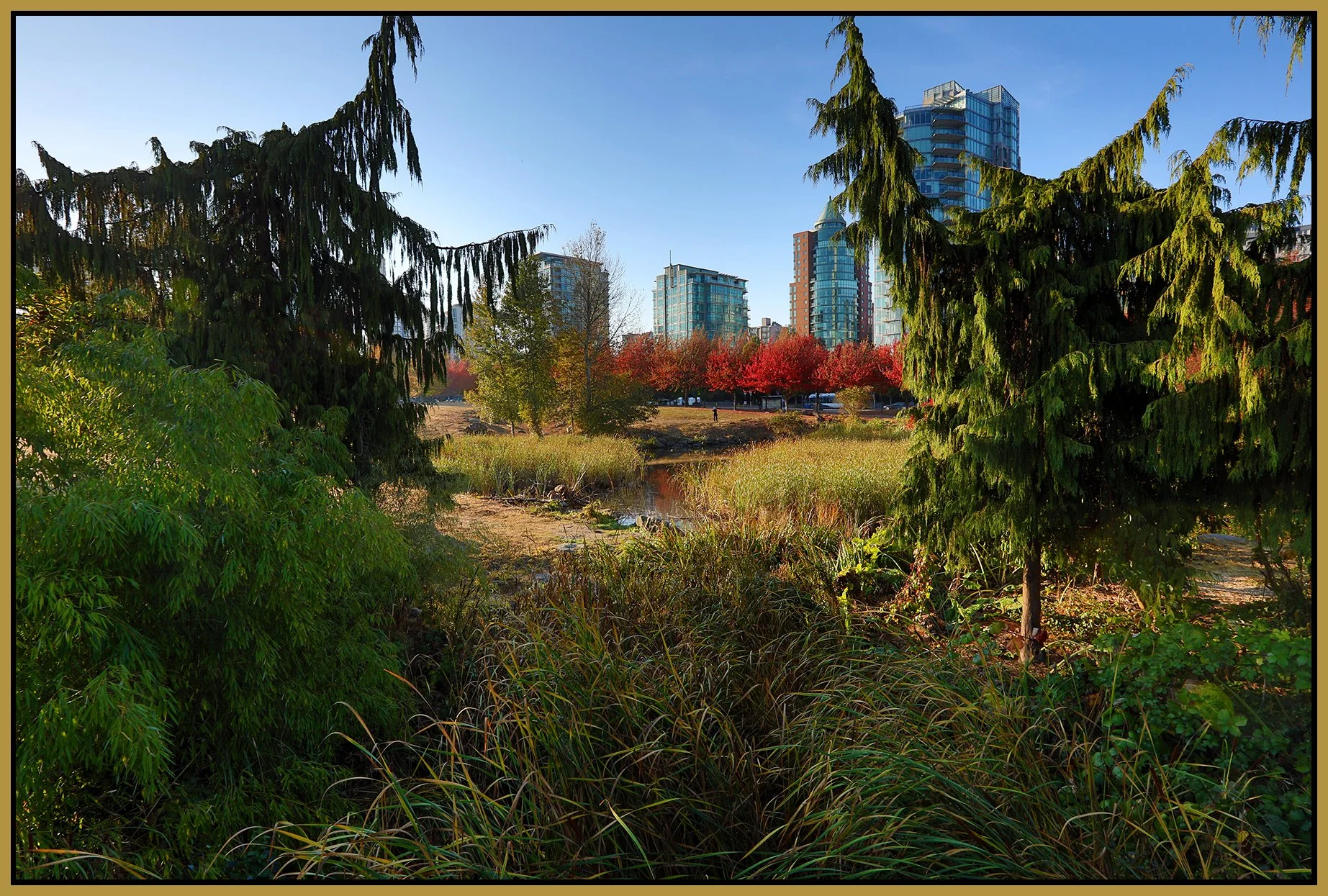 Devonian Pk_Oct 15_2022_HDR_5C3104_4x6s.jpg