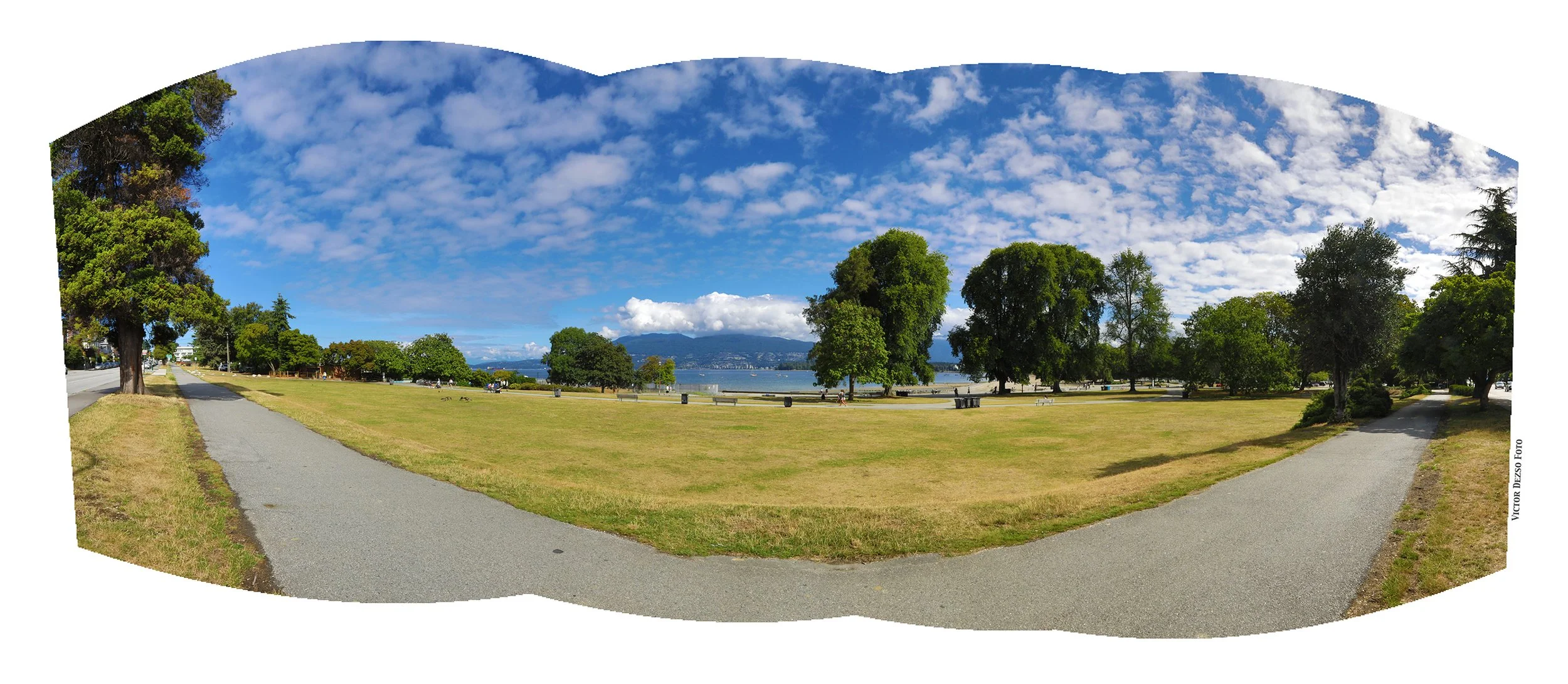 Kits Beach Trees_Jul 29_2026_HDR_Pan_4L7204_4x9.jpg