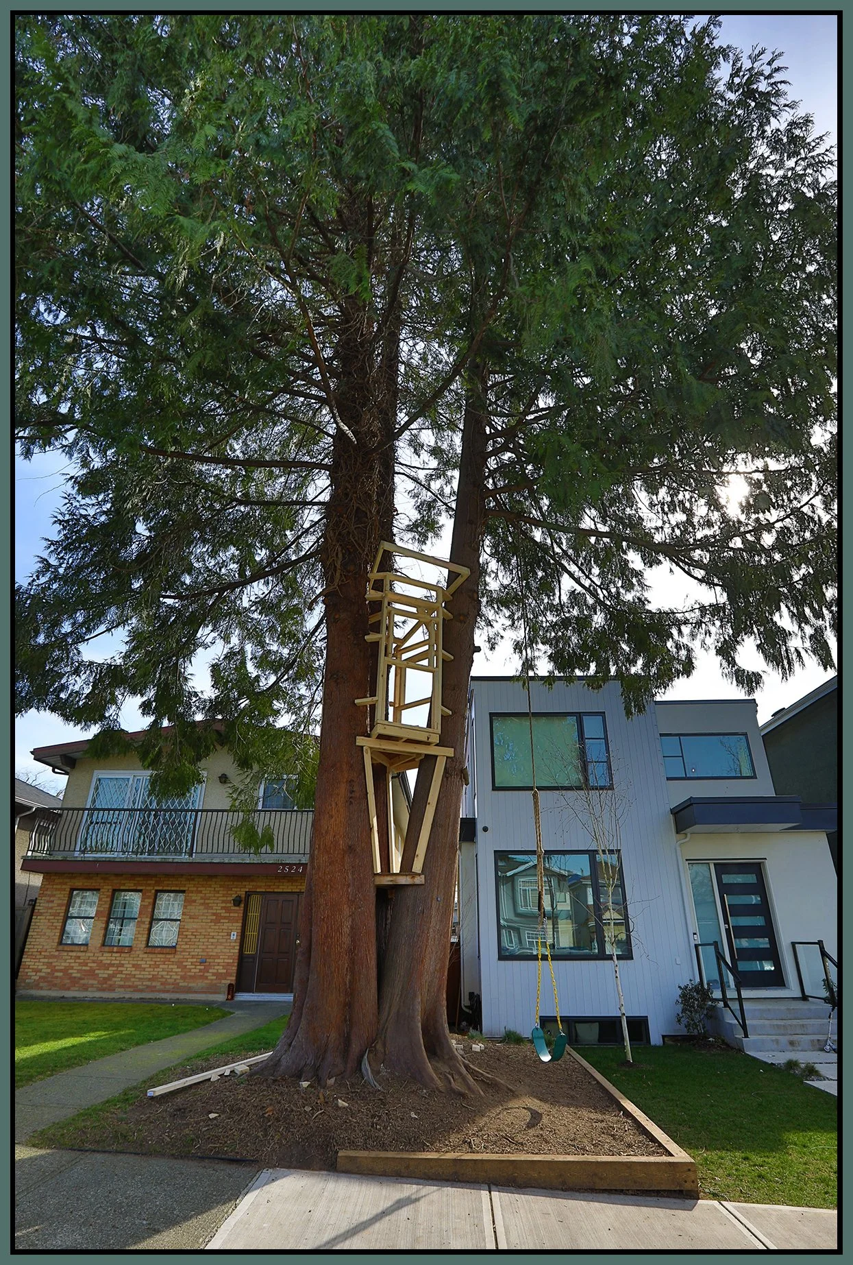 2524 Turner Tree_Mar 17_2021_HDR_5A5103_4x6s.jpg