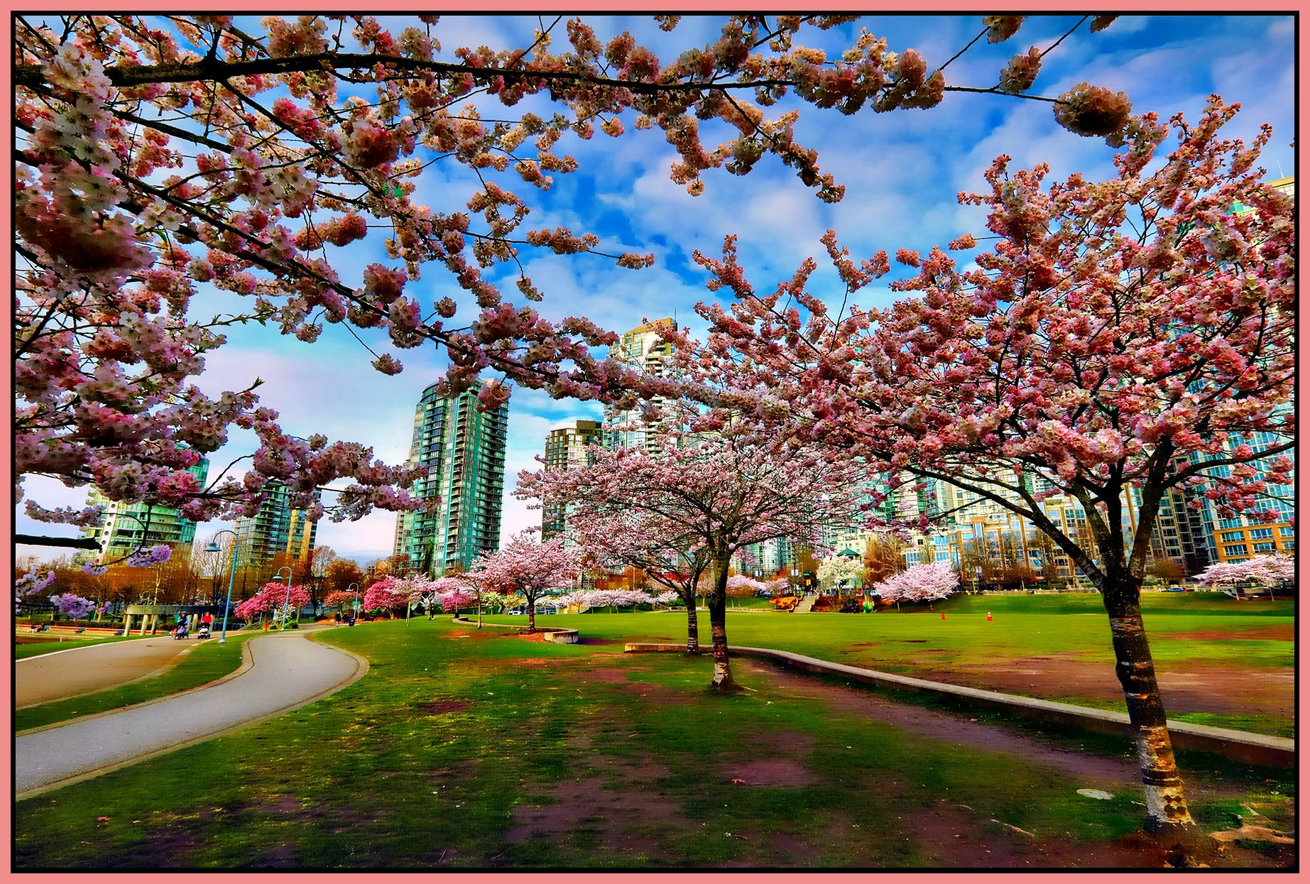 David Lam Park Trees_Mar 21_2024_HDR_4H5472_peEWGT_Hdr2013_1_4x6s.jpg