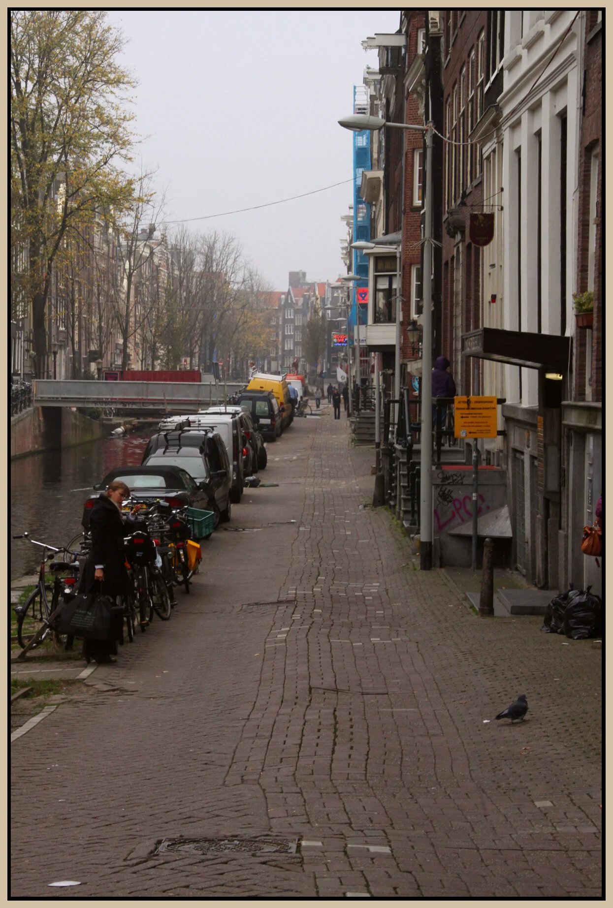 Amsterdam_Nov 8_2011_6526vel_4x6s.jpg