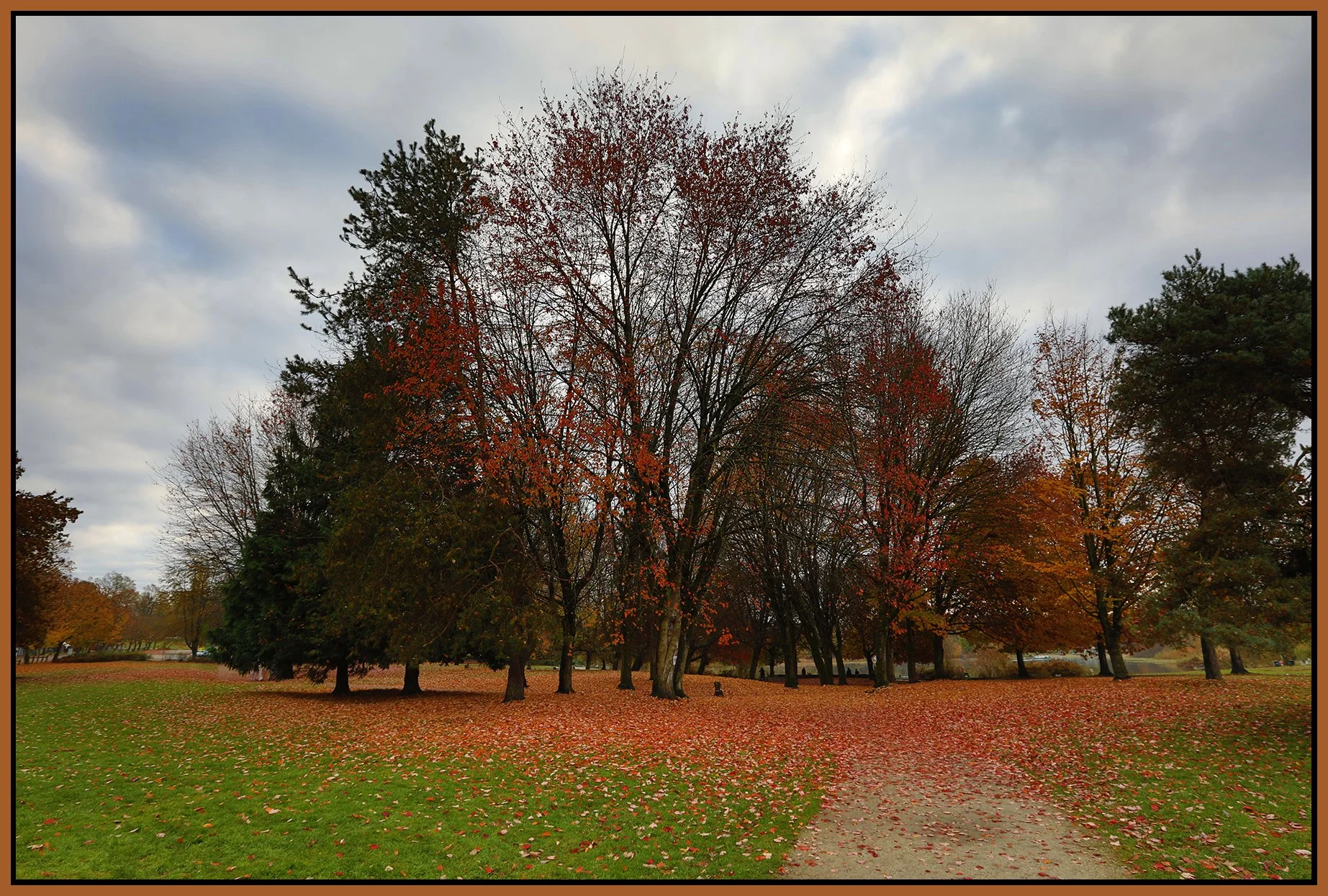 Trout Lake Trees_Nov 11_2020_HDR_4G3700_4x6s.jpg