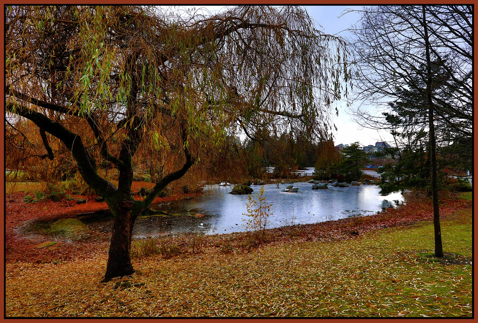 Charleson Pk Pond_Dec 8_2022_HDR_5C8958_peExpMrg_4x6s.jpg